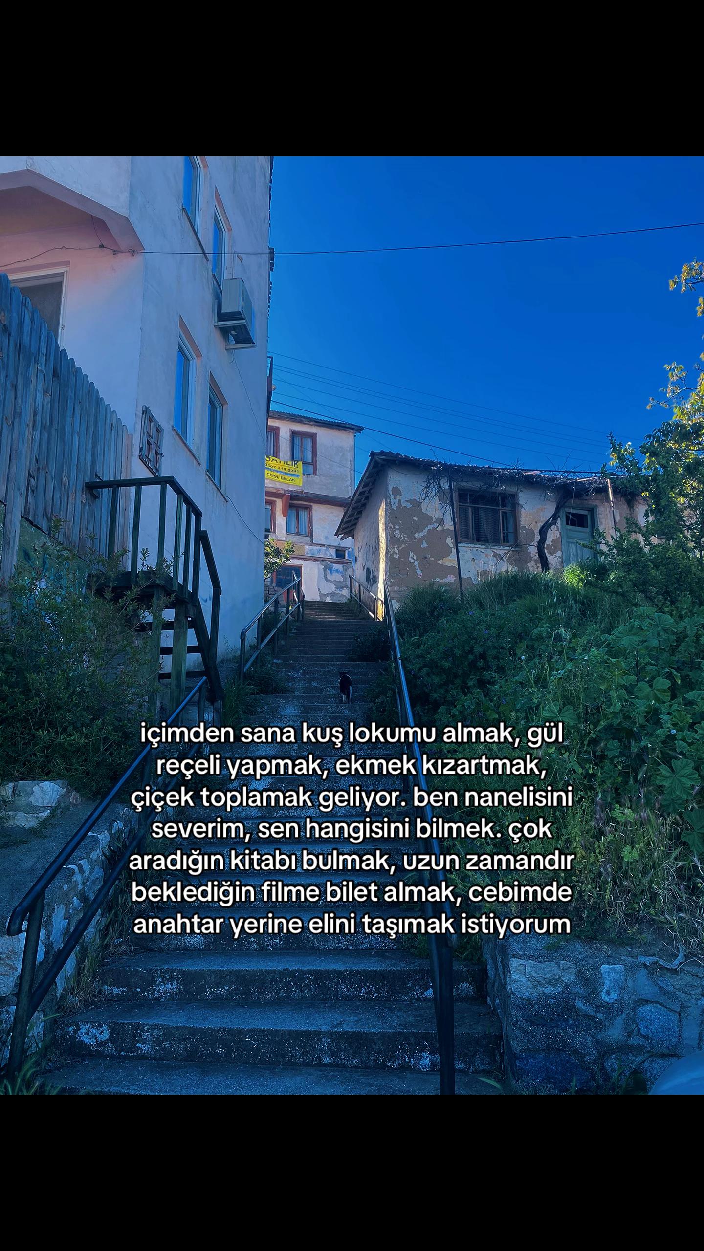 @müzeyyen