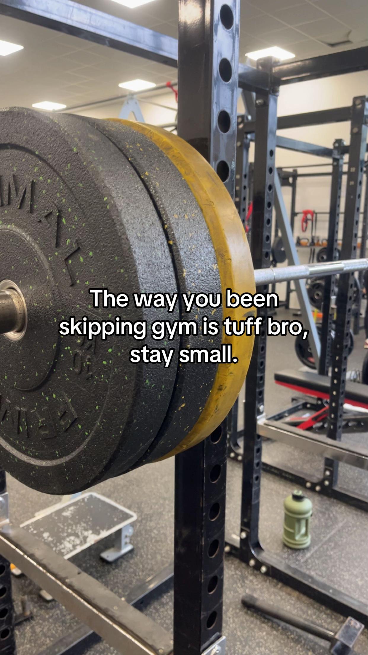 @cf.shredz