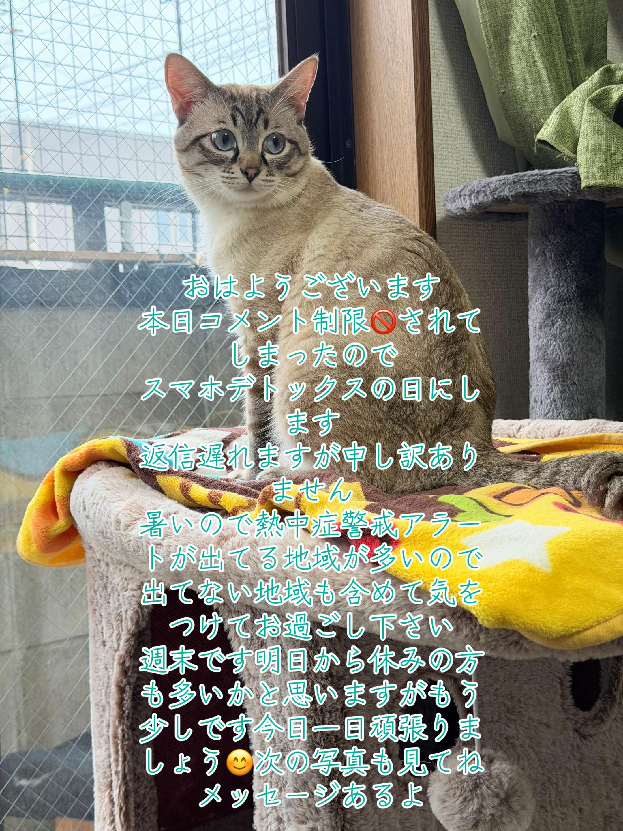 @ð¥é»æŸ€æ£å¿ð¥