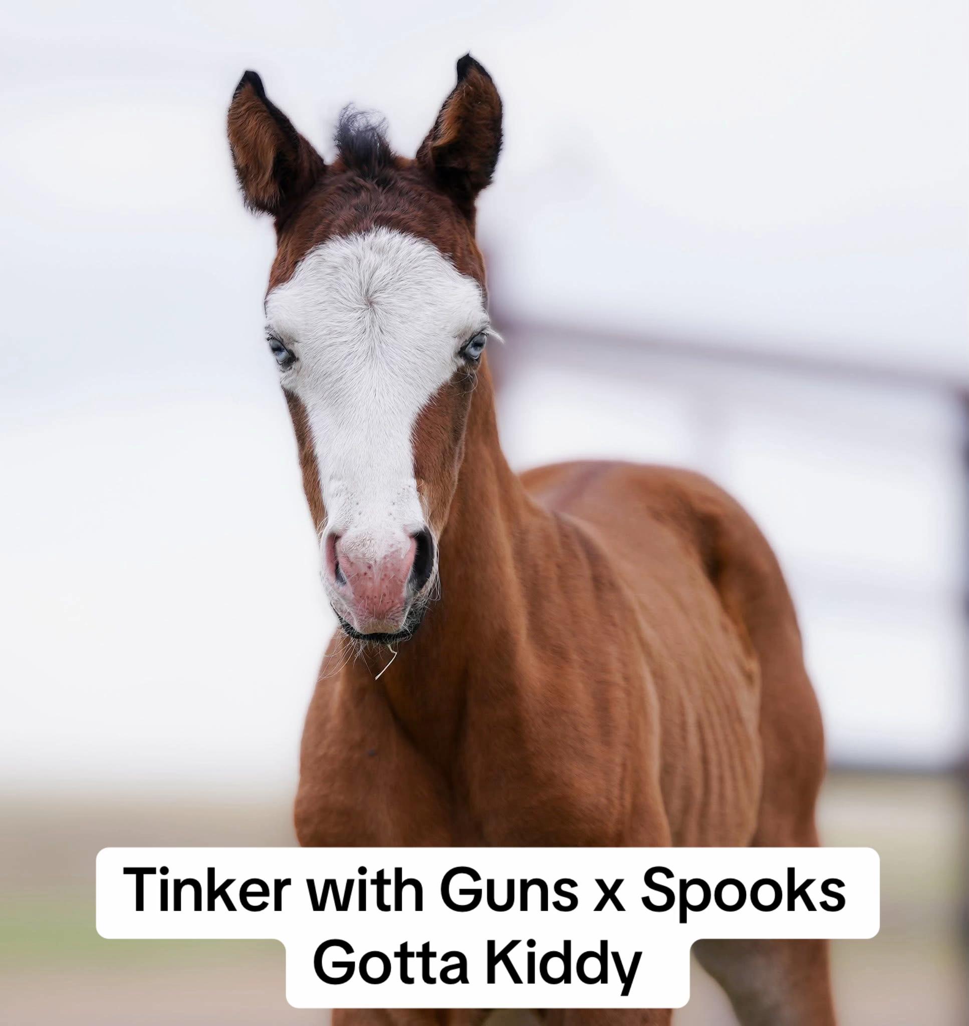 @Hanginghorses