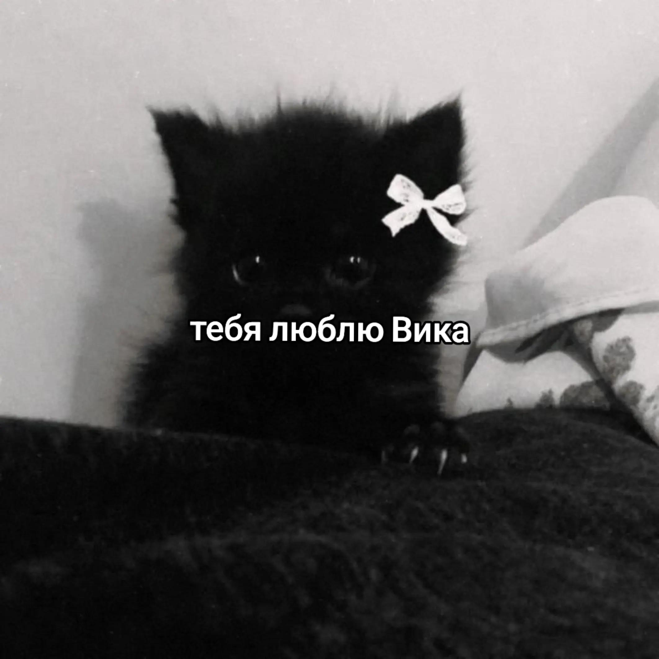 @Я ЛЮБЛЮ ВИКУ