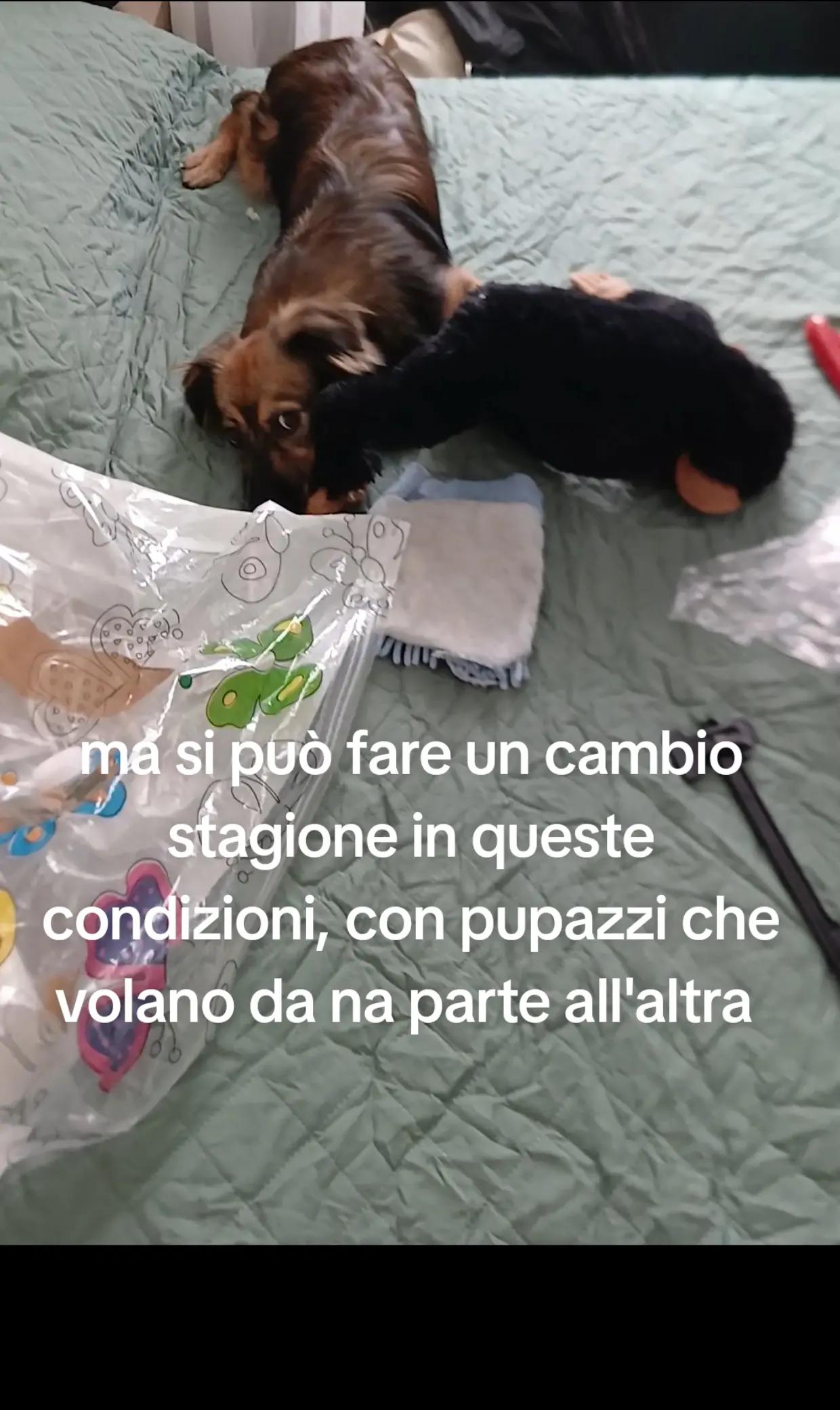 @Veronica Ridoni