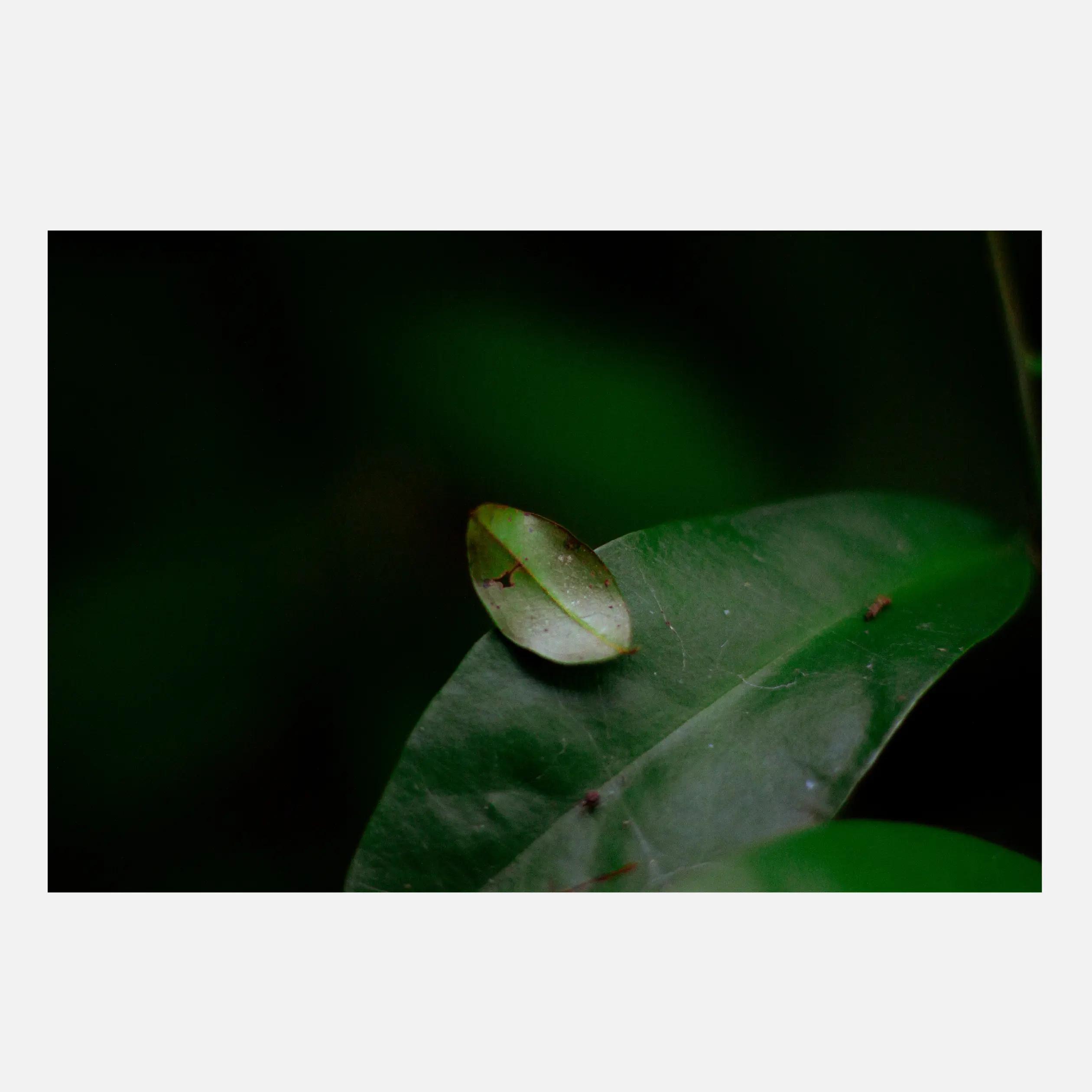 @kardan | 📸Leica