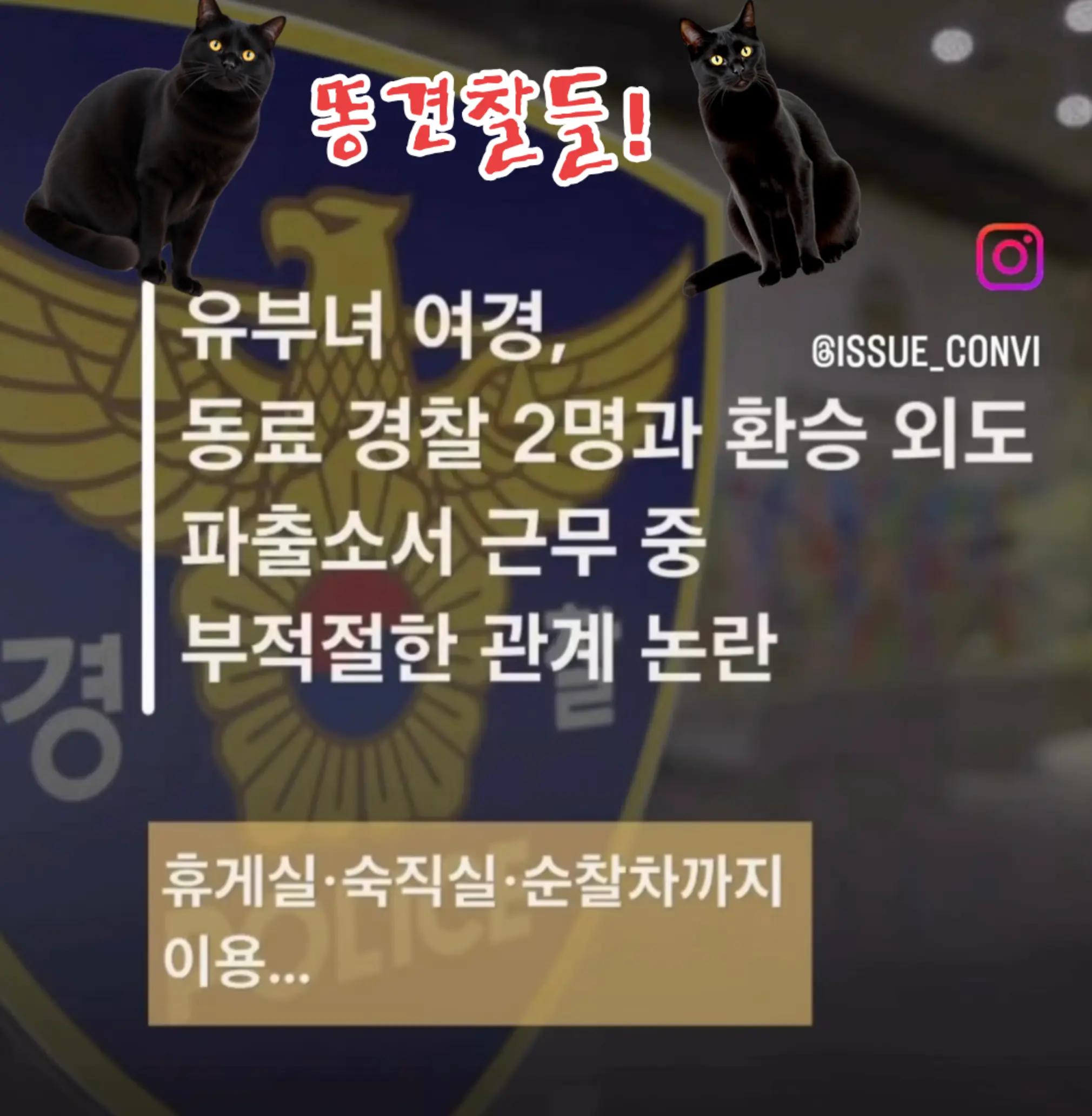 @🌺시라소니[본]🌺