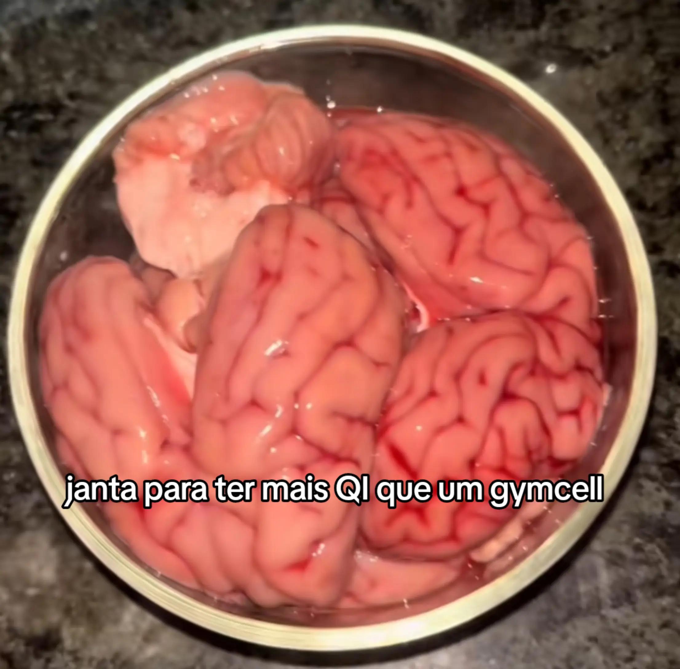 @primals4M