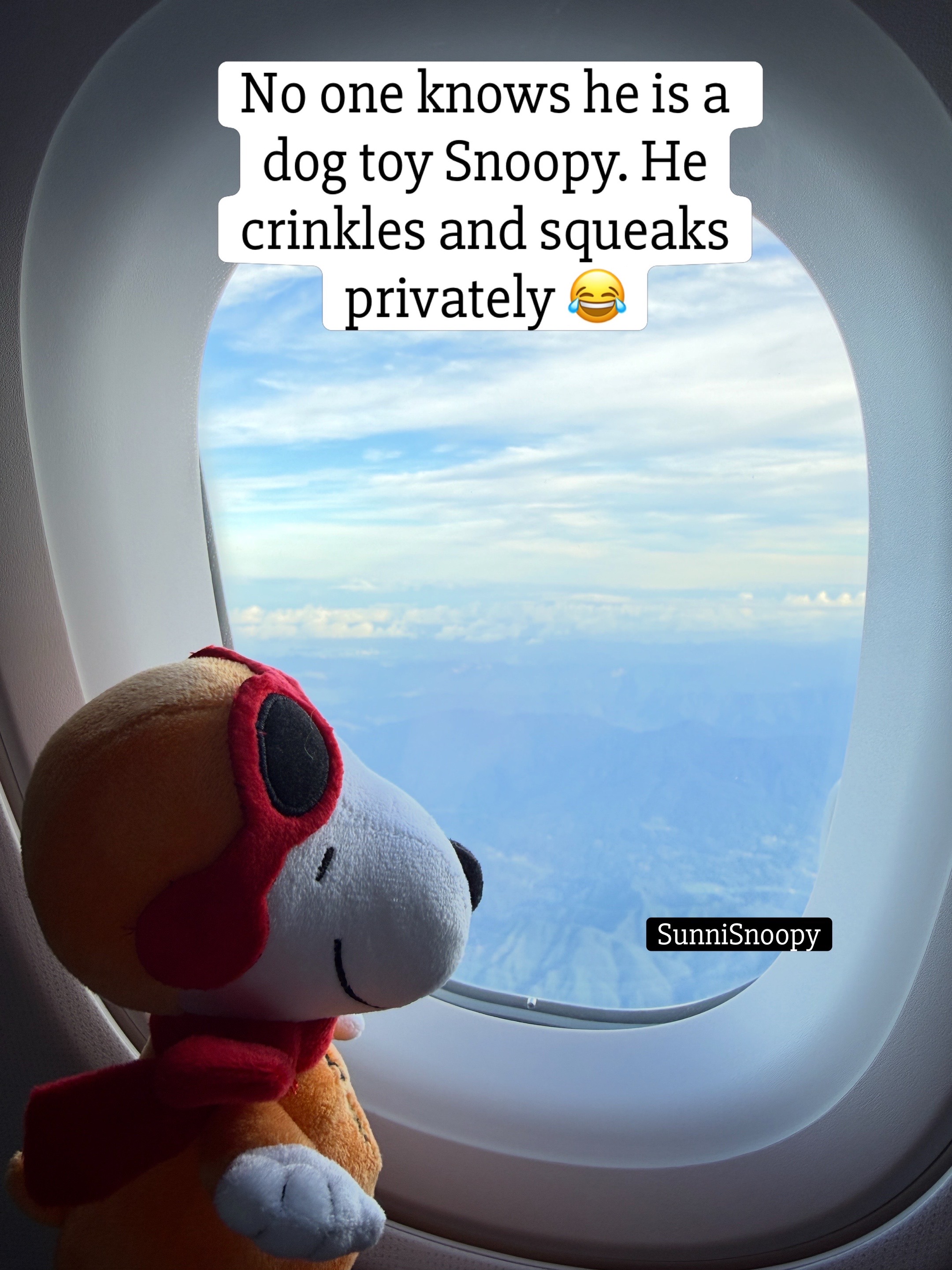 @SunniSnoopy | PEANUTS