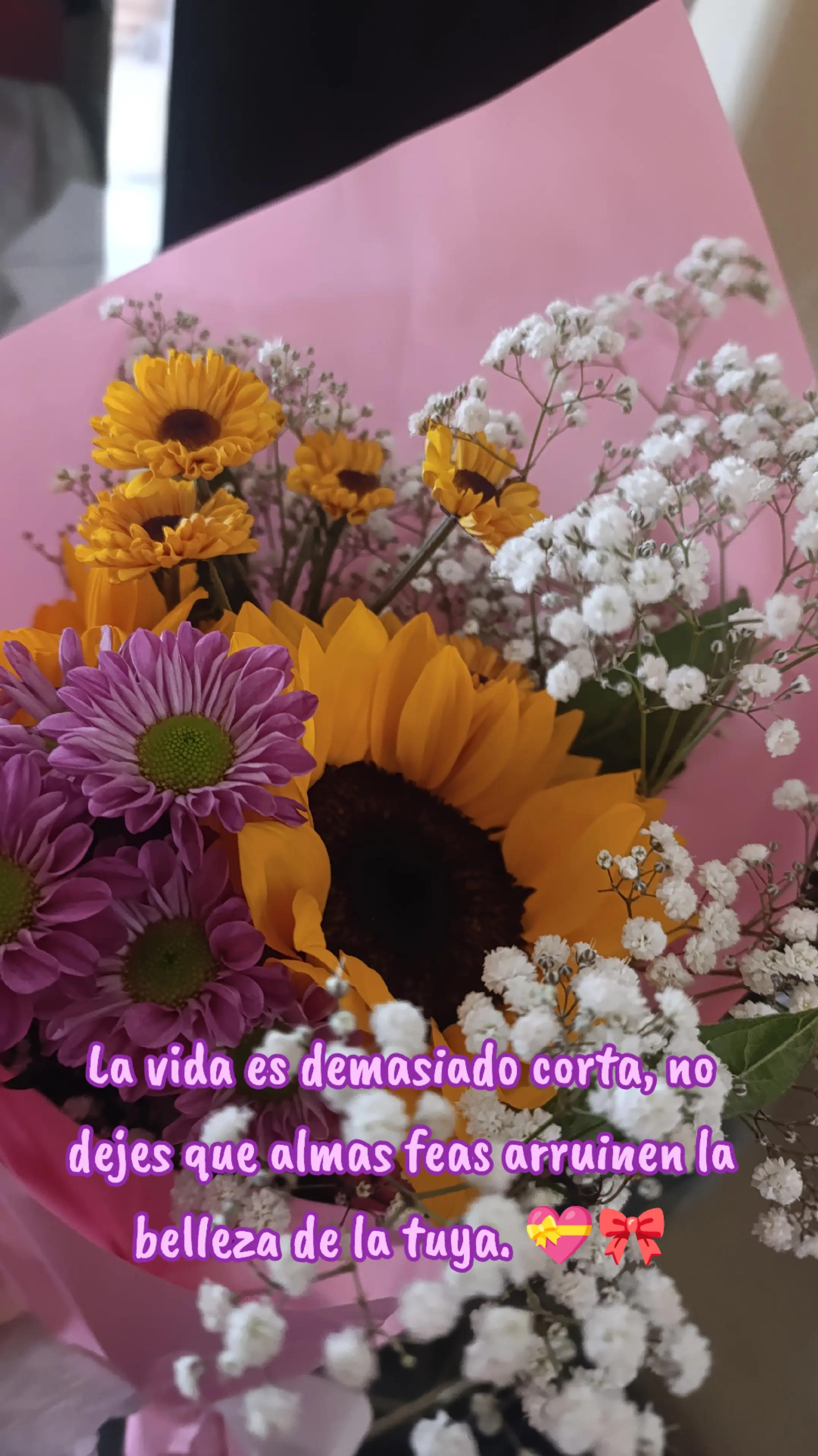 @gissell Hellen