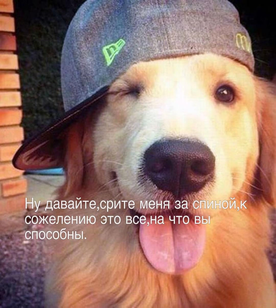 @liya👾🎧🇰🇿