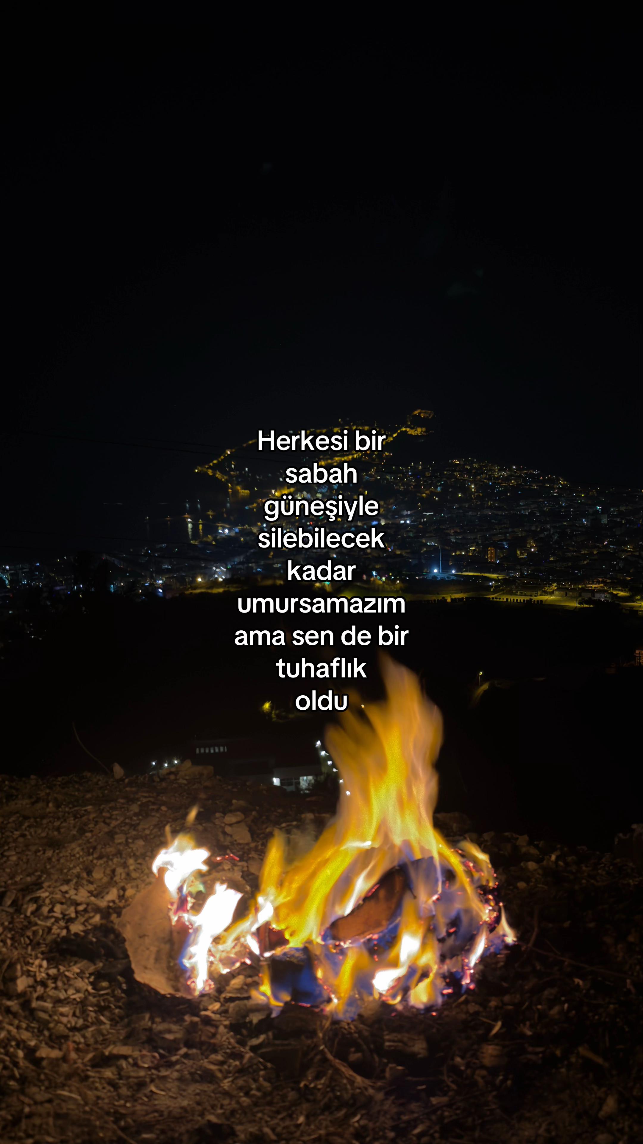 @annnar01