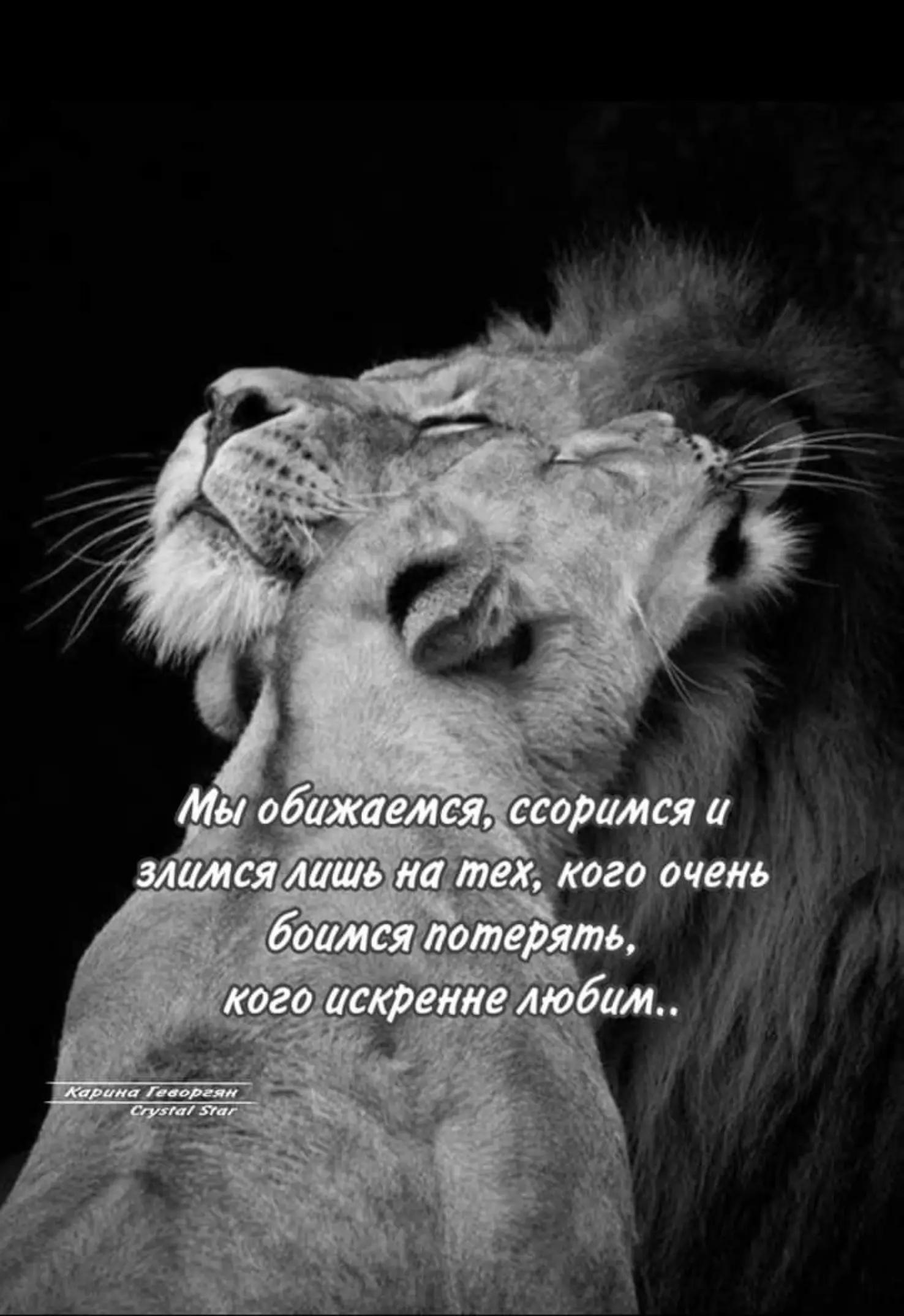 @erjan_talas