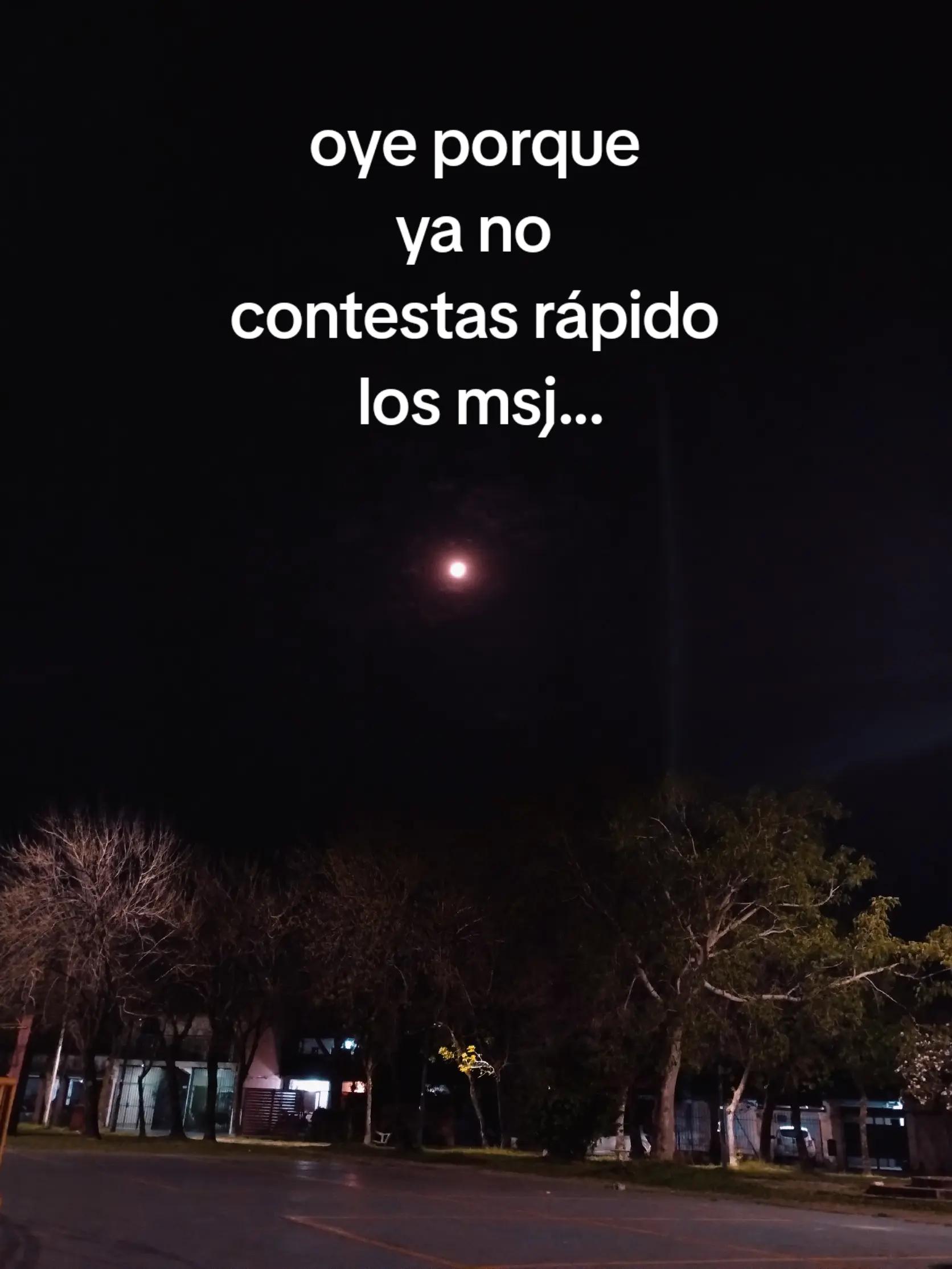 @🍅