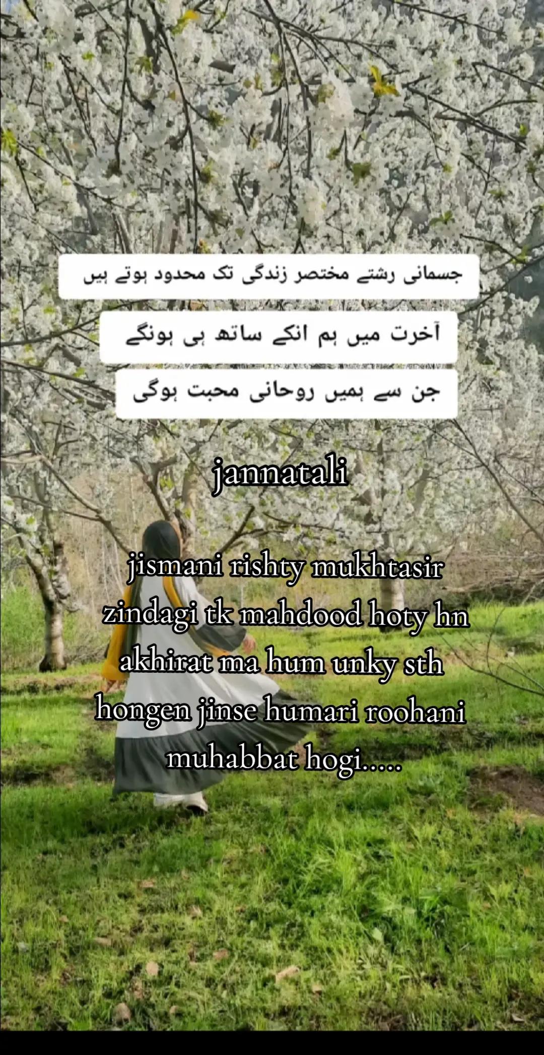 @Jannat Ali