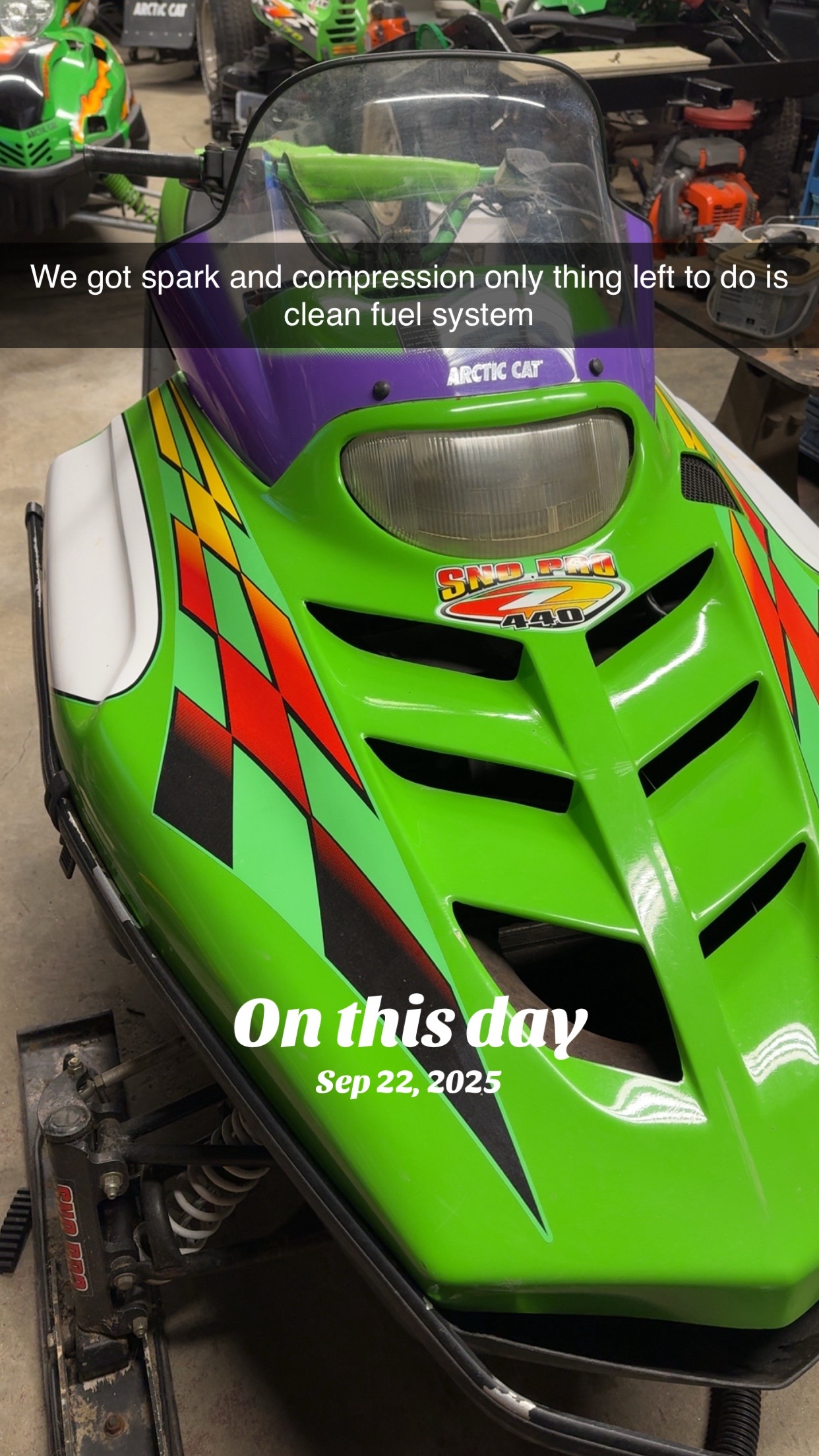 @Arcticcatmatt