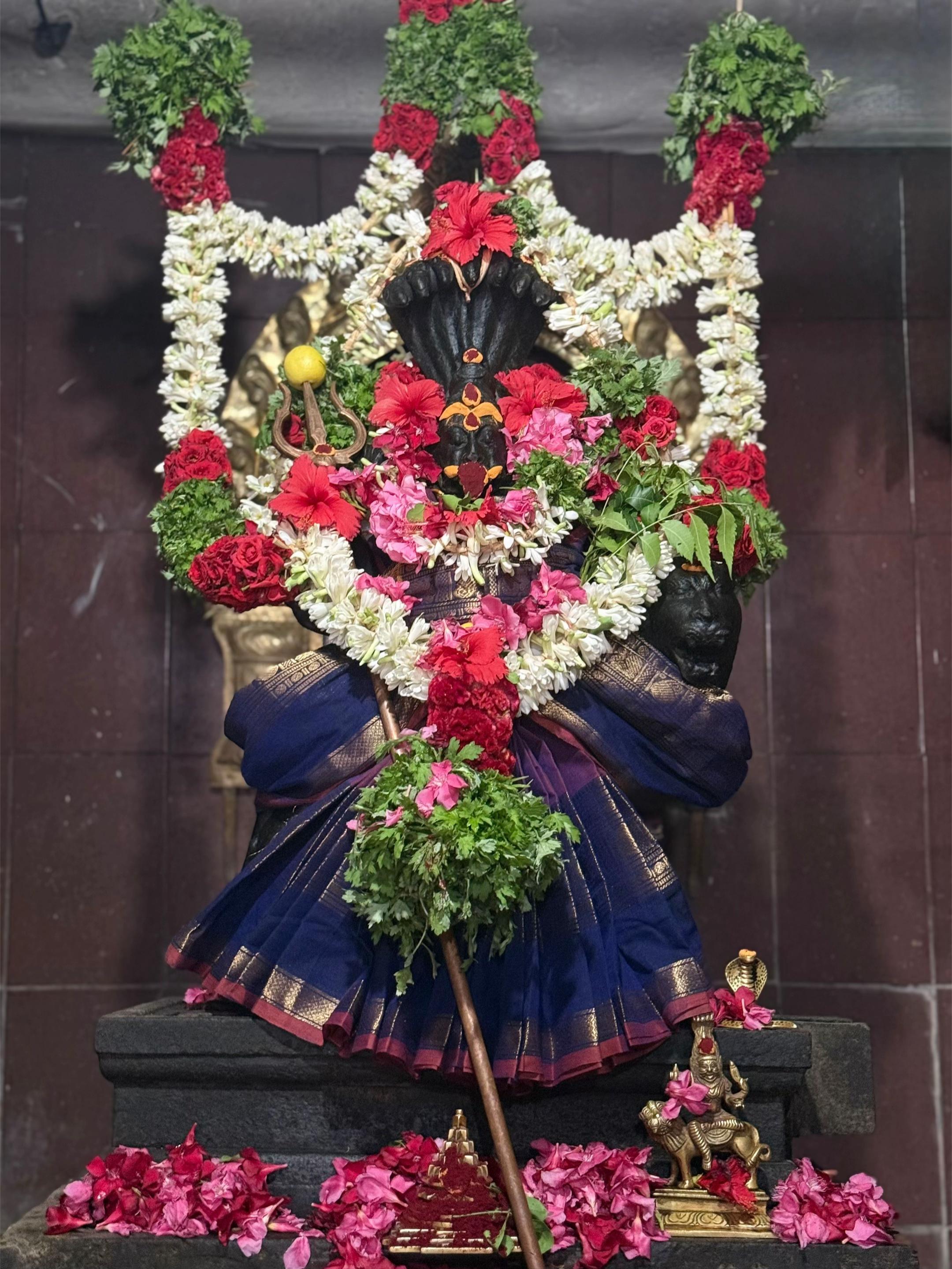 @pratyangirakovil