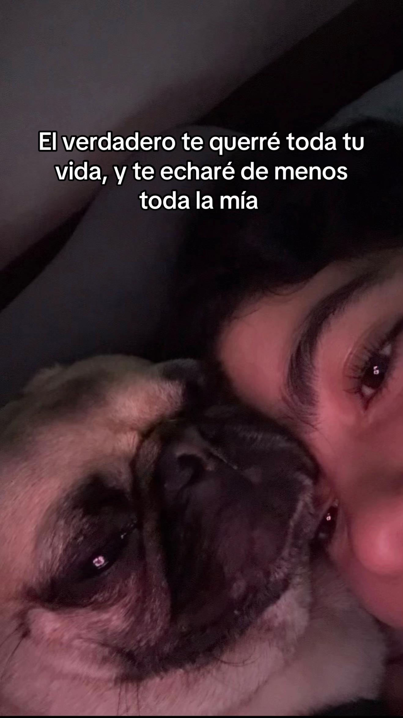 @Alexa&elcarnalchiss