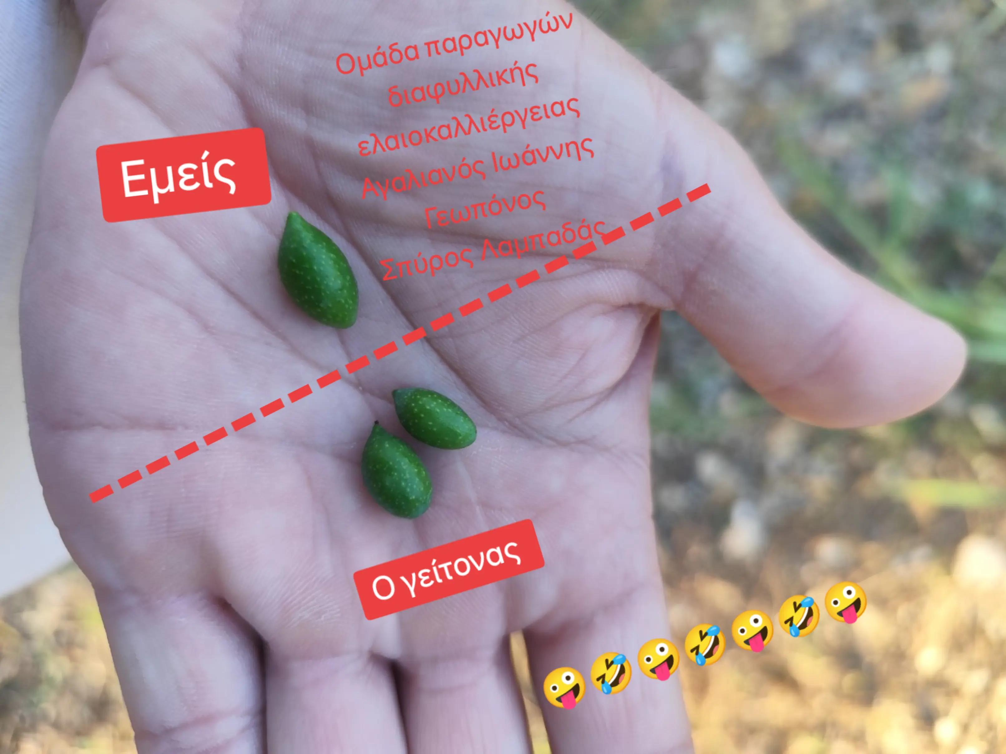 @&Alpha;&gamma;&alpha;&lambda;&iota;&alpha;&nu;ό&sigmaf; &Iota;&omega;ά&nu;&nu;&eta;&sigmaf; &Gamma;&epsilon;&omega;&pi;ό&nu;&omicron;&sigmaf;