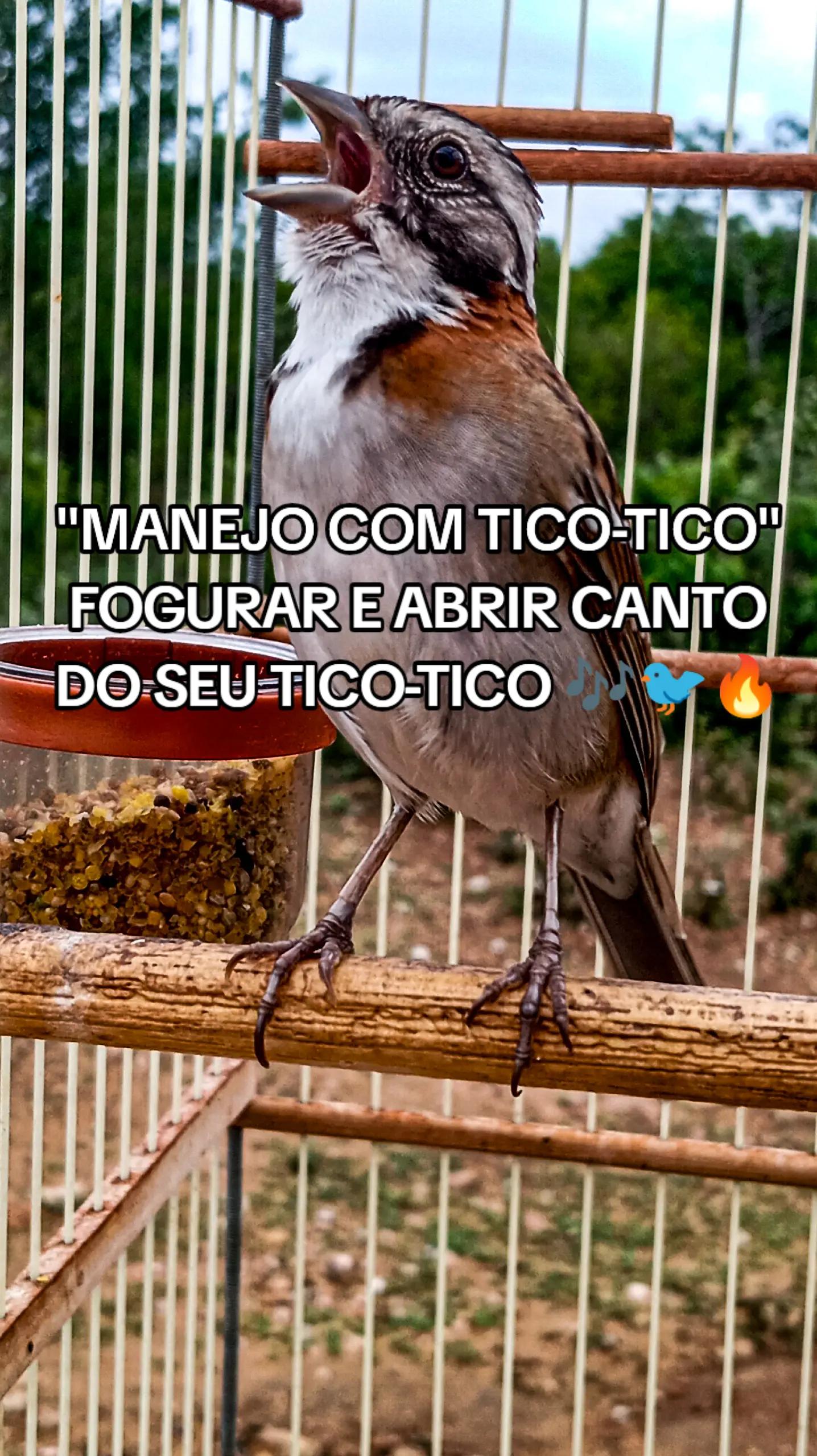 @JR_DO_AZULAOšµ