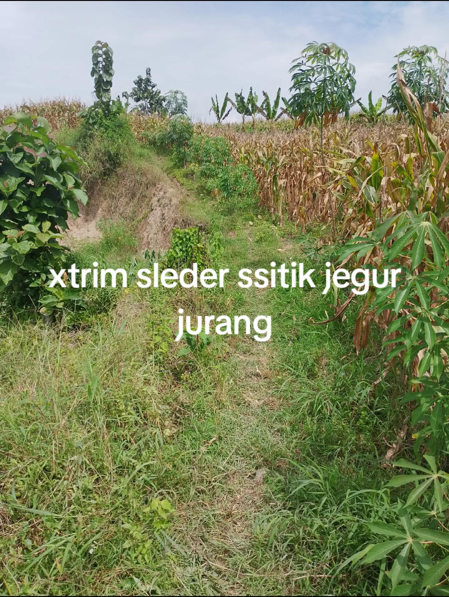 @petani melenial