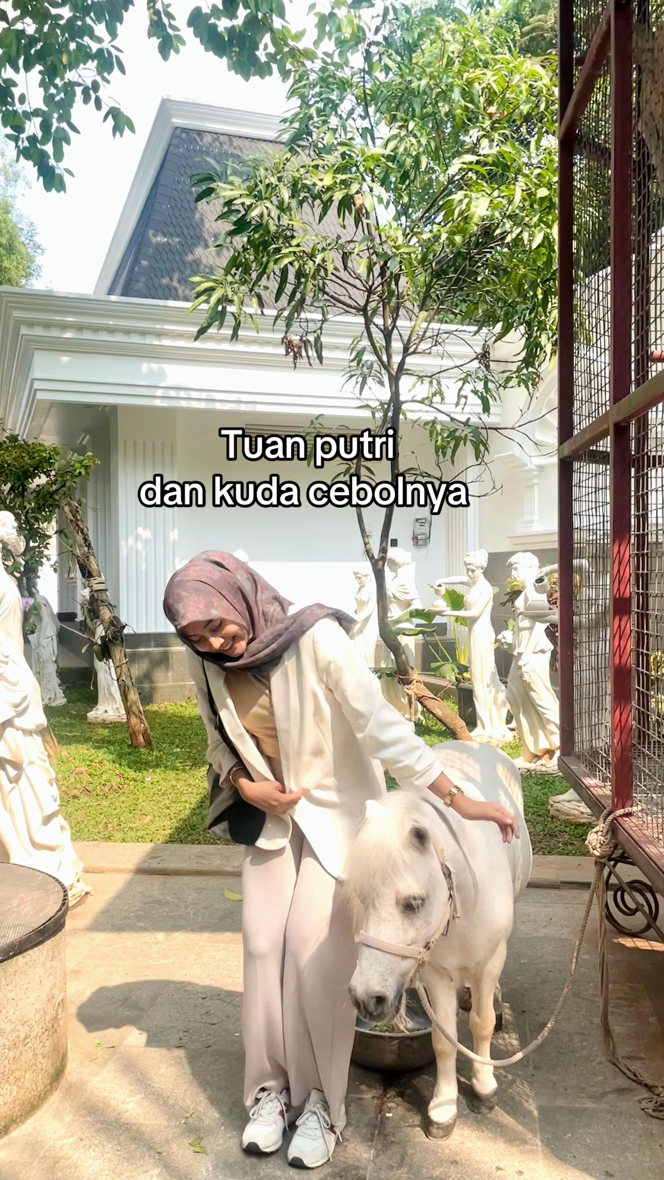 @hafifana