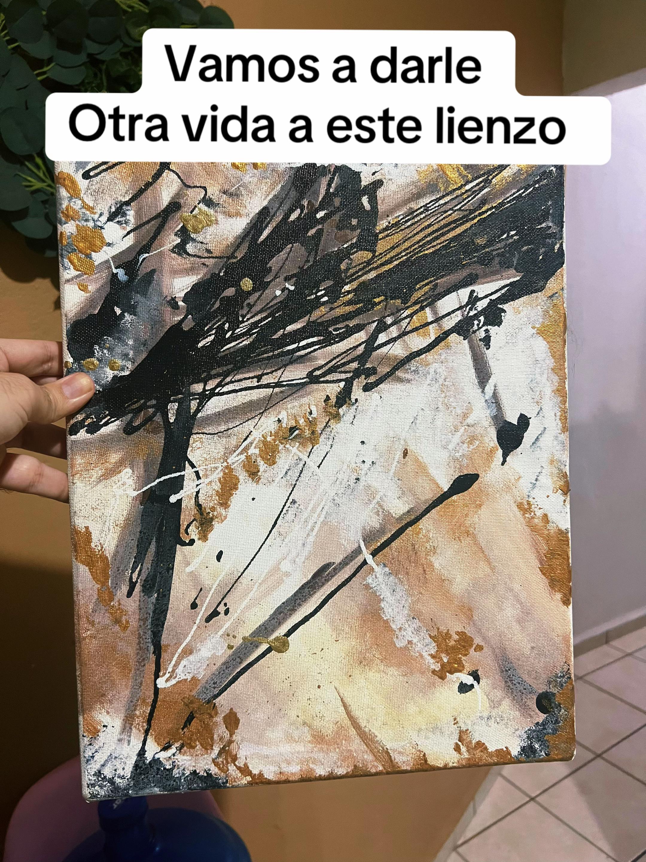 @Sigi