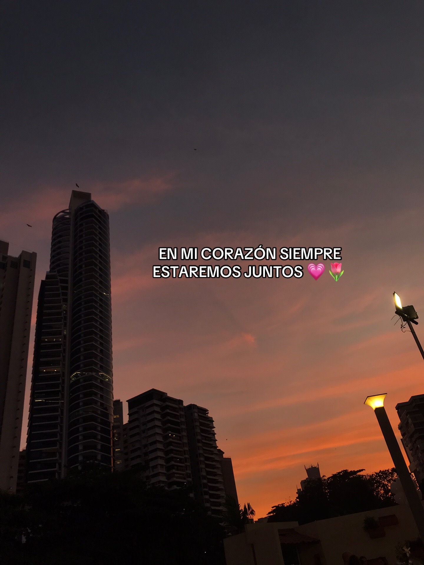 @Deysi