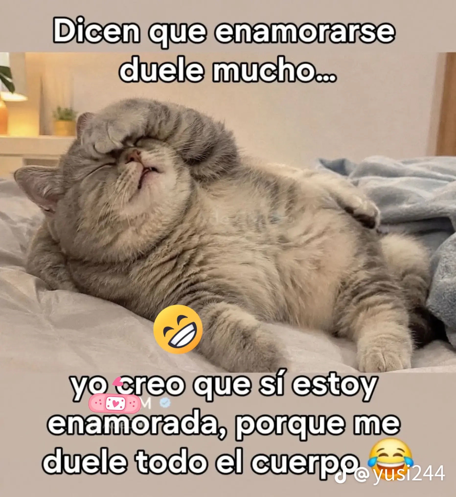 @Sandy Garcia