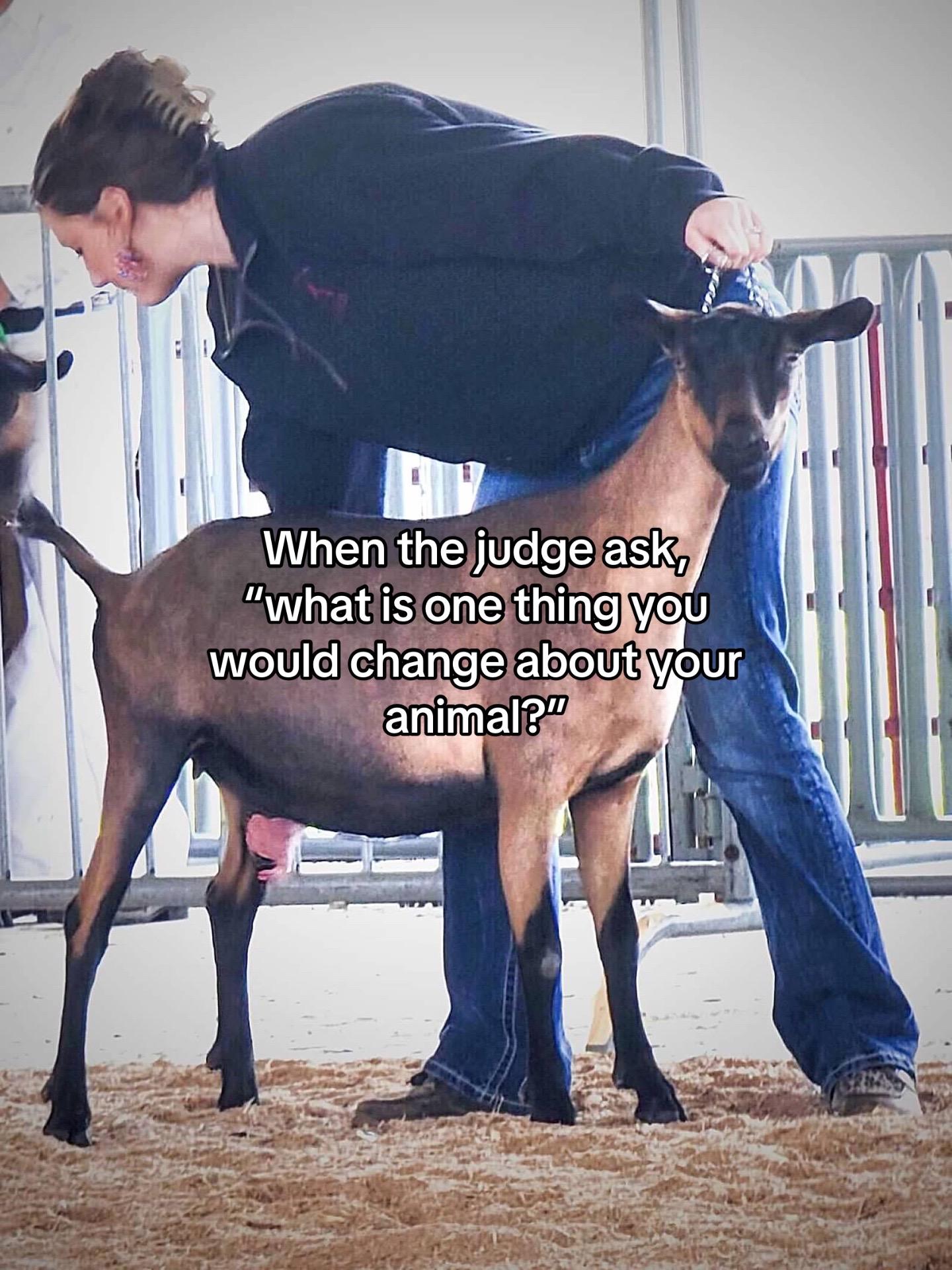 @Maple Leaf Livestock