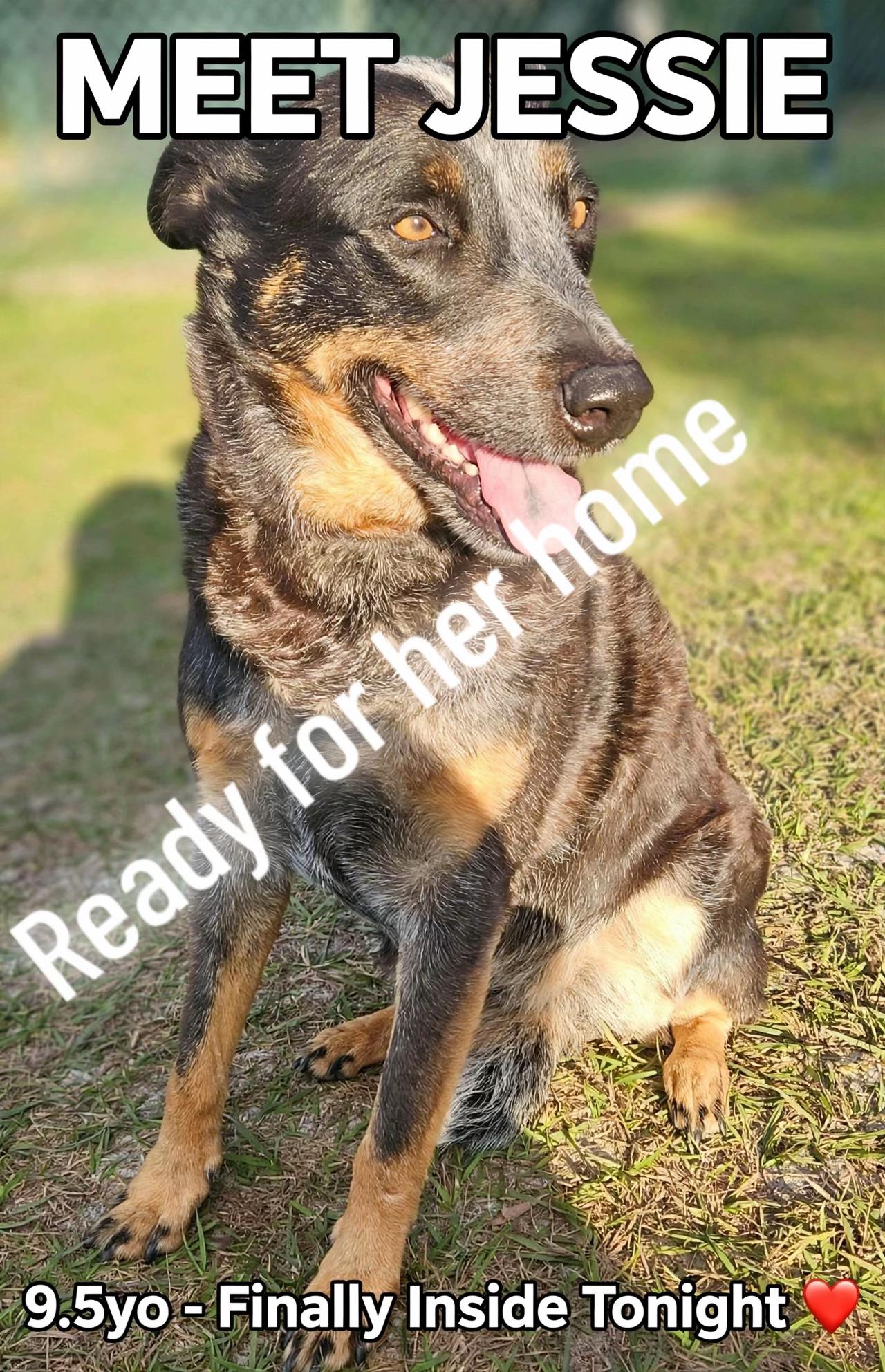 @Judd (just us deserving dogs)