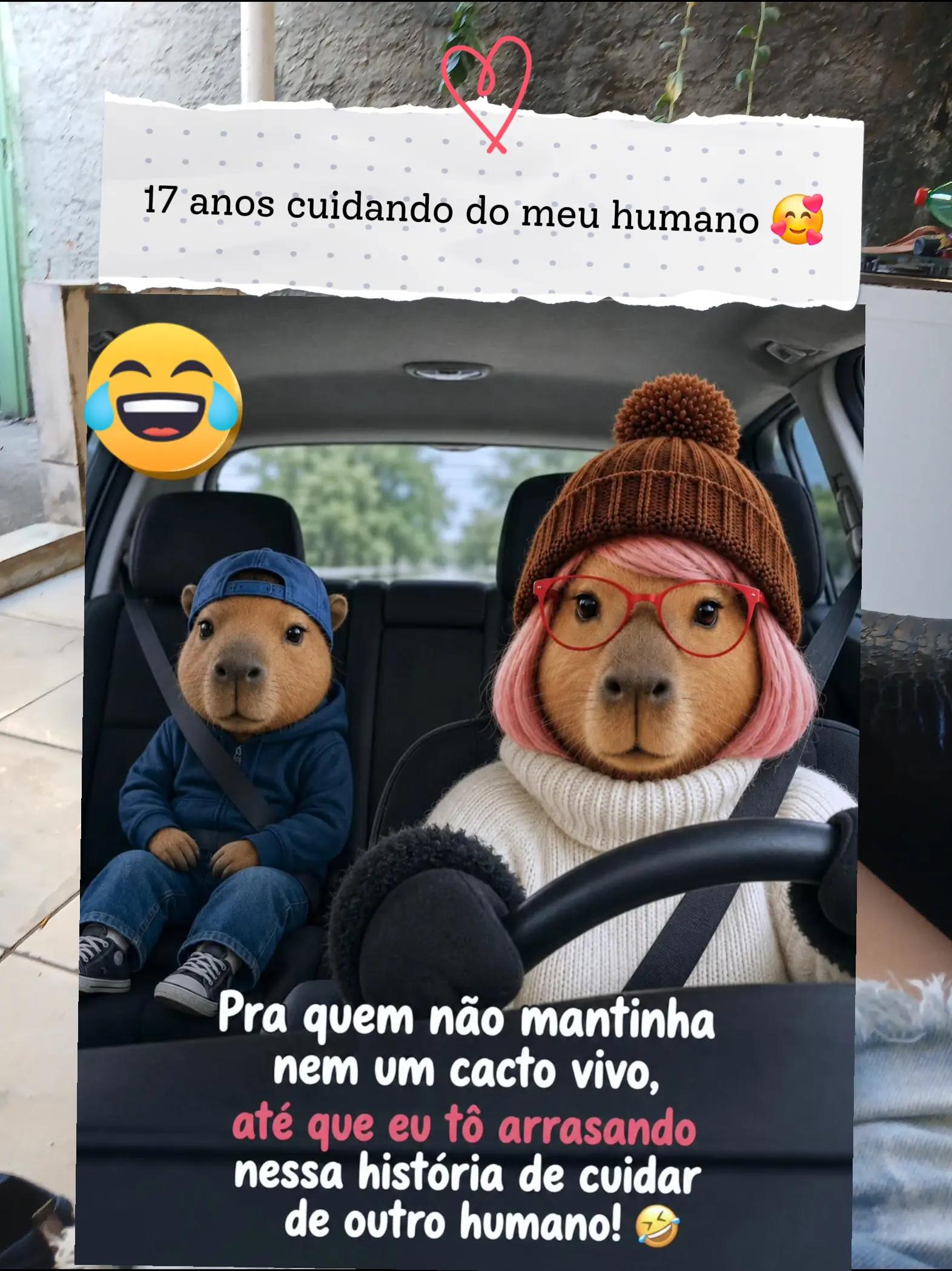 @humor da Célia 🤣