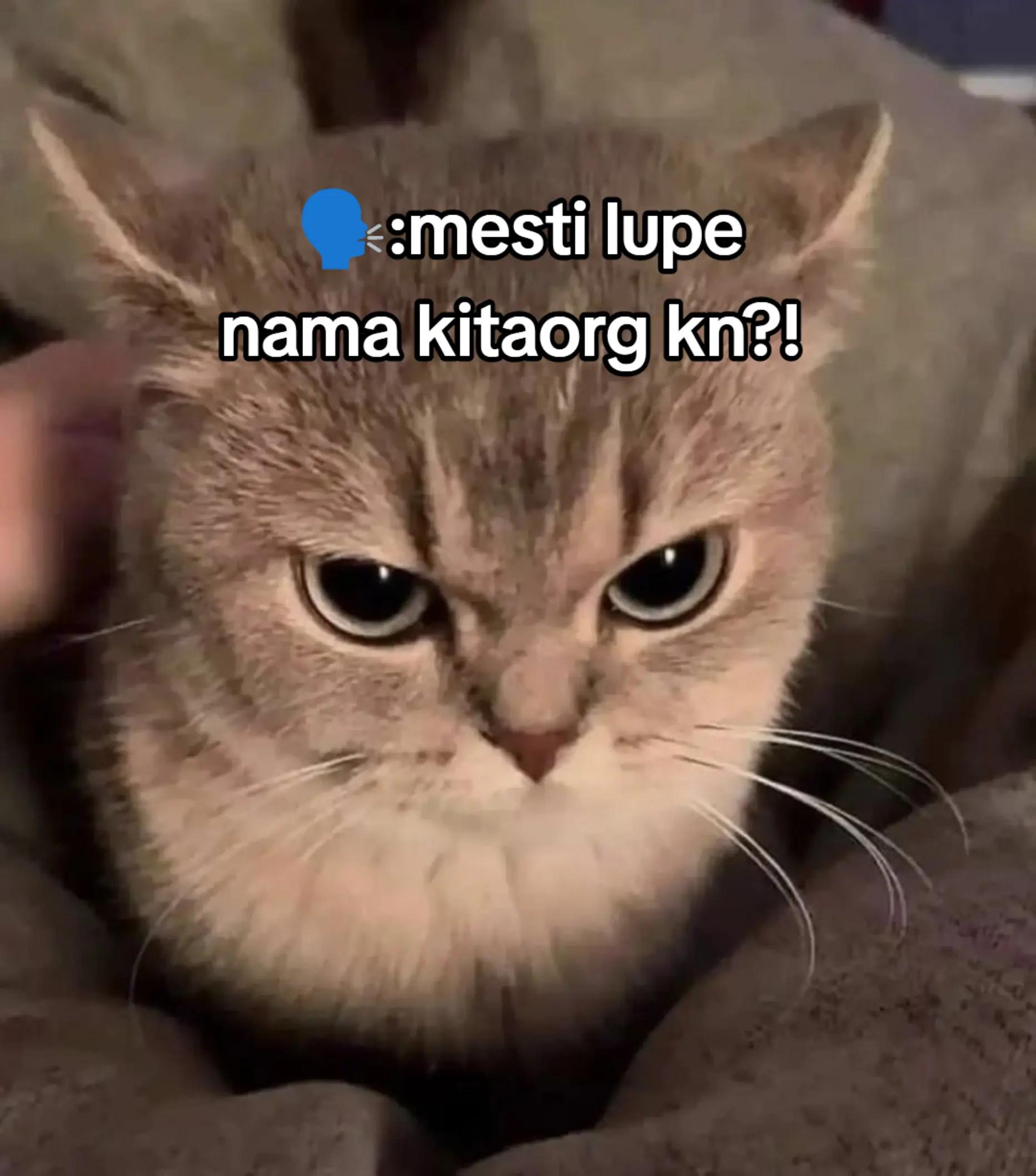 @Nikki ˃ 𖥦 ˂