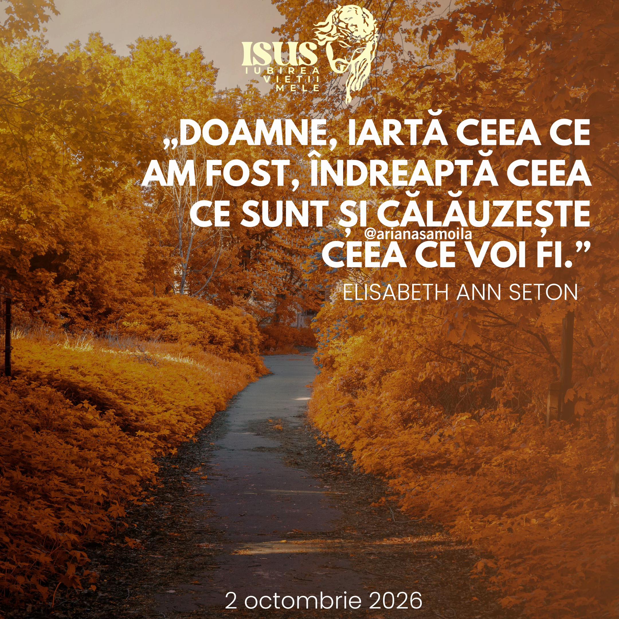 @Ariana Samoilă