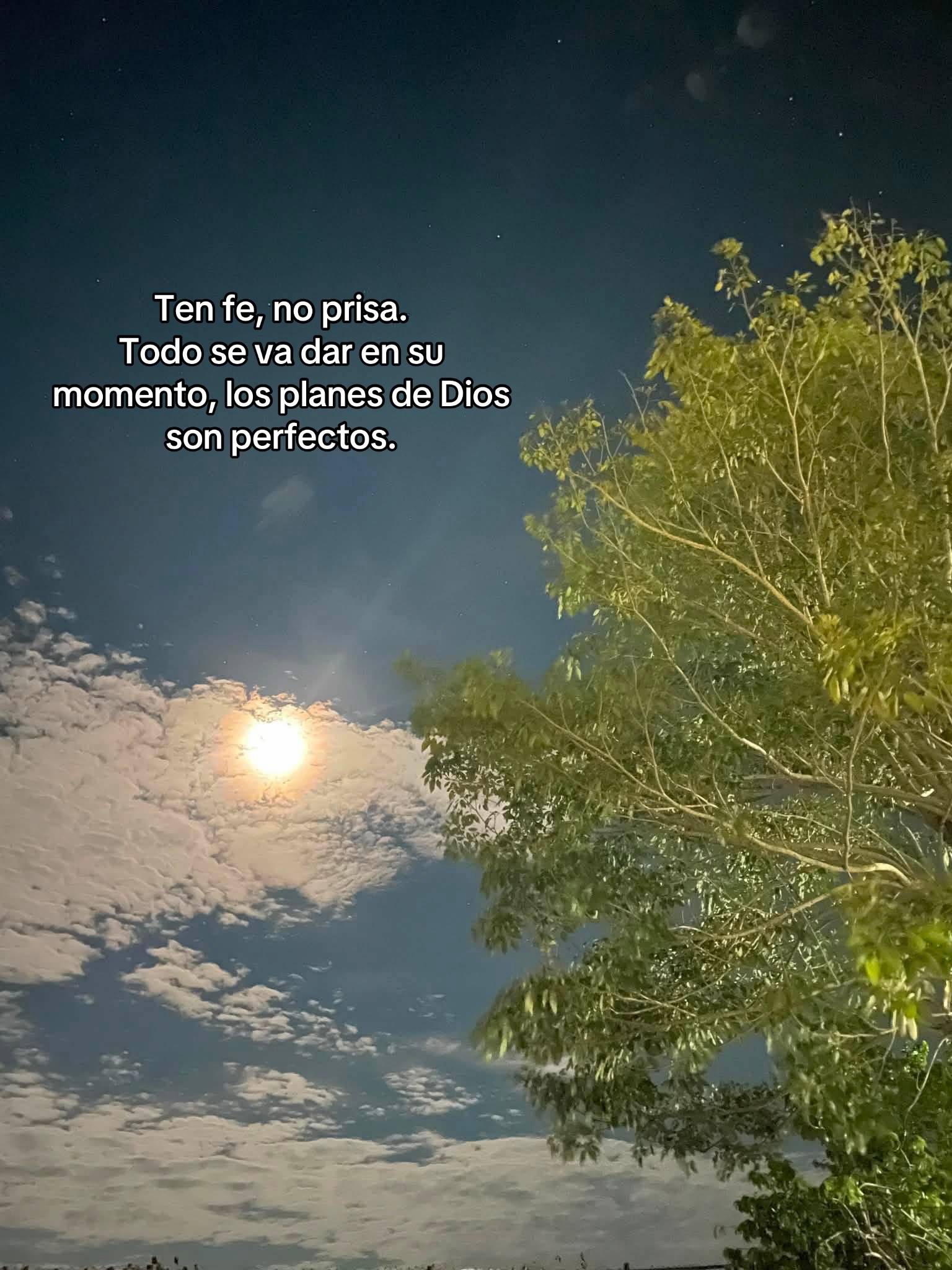 @Alicia Carazo🍃 🪼🧸