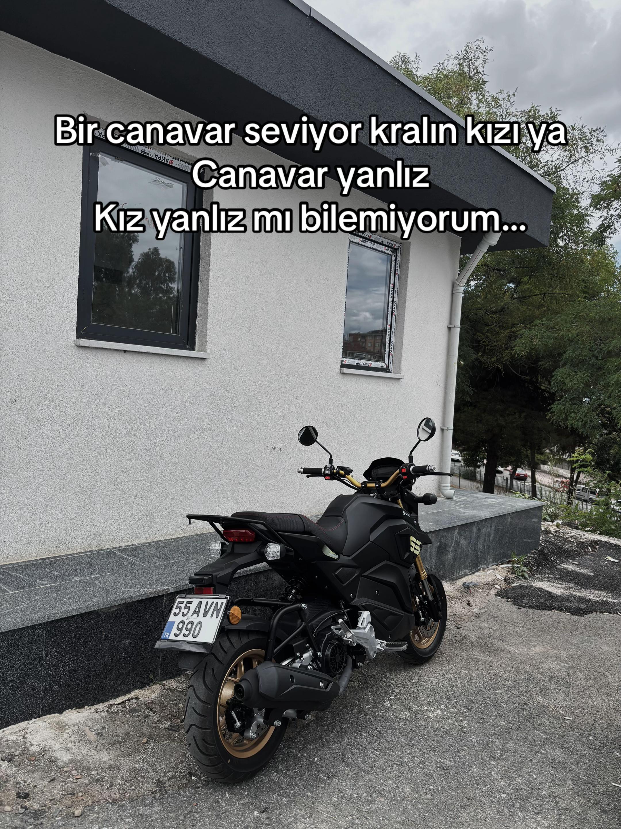 @Alev