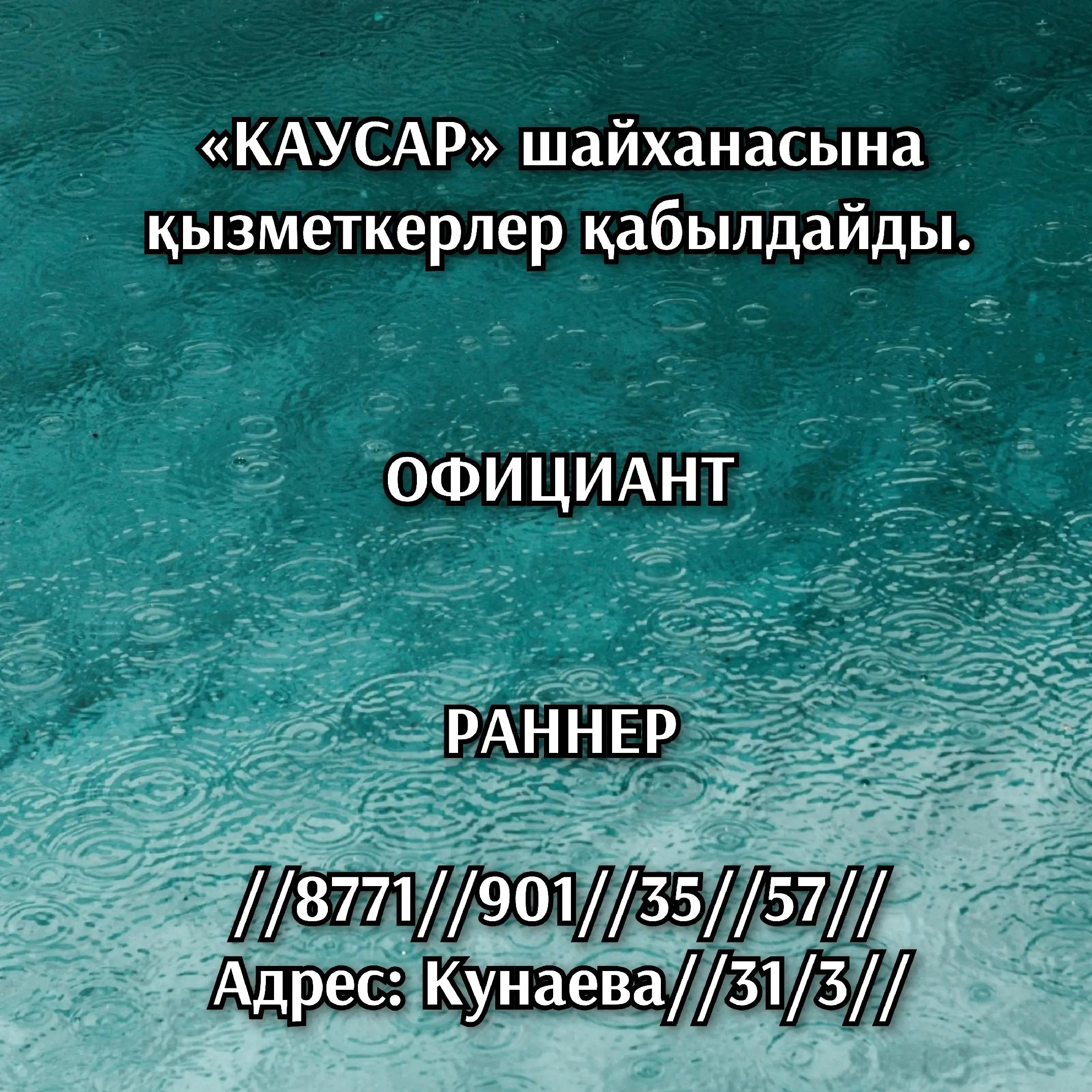 @Shymkent_the_vacancy