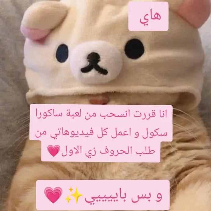 @𝑅𝑎𝑧𝑎𝑛ฅ^&bull;ﻌ&bull;^ฅ