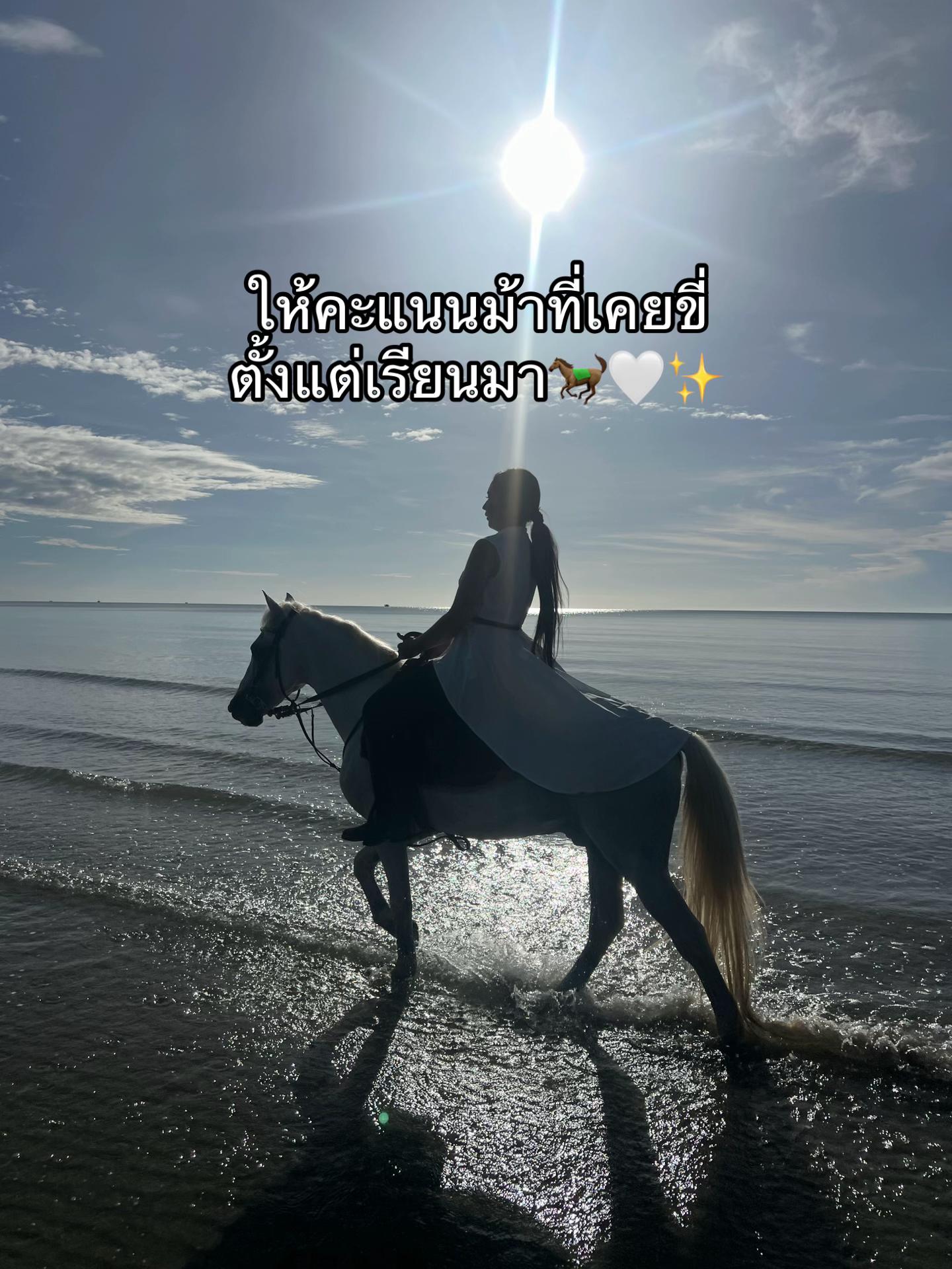 @ซีเปีย