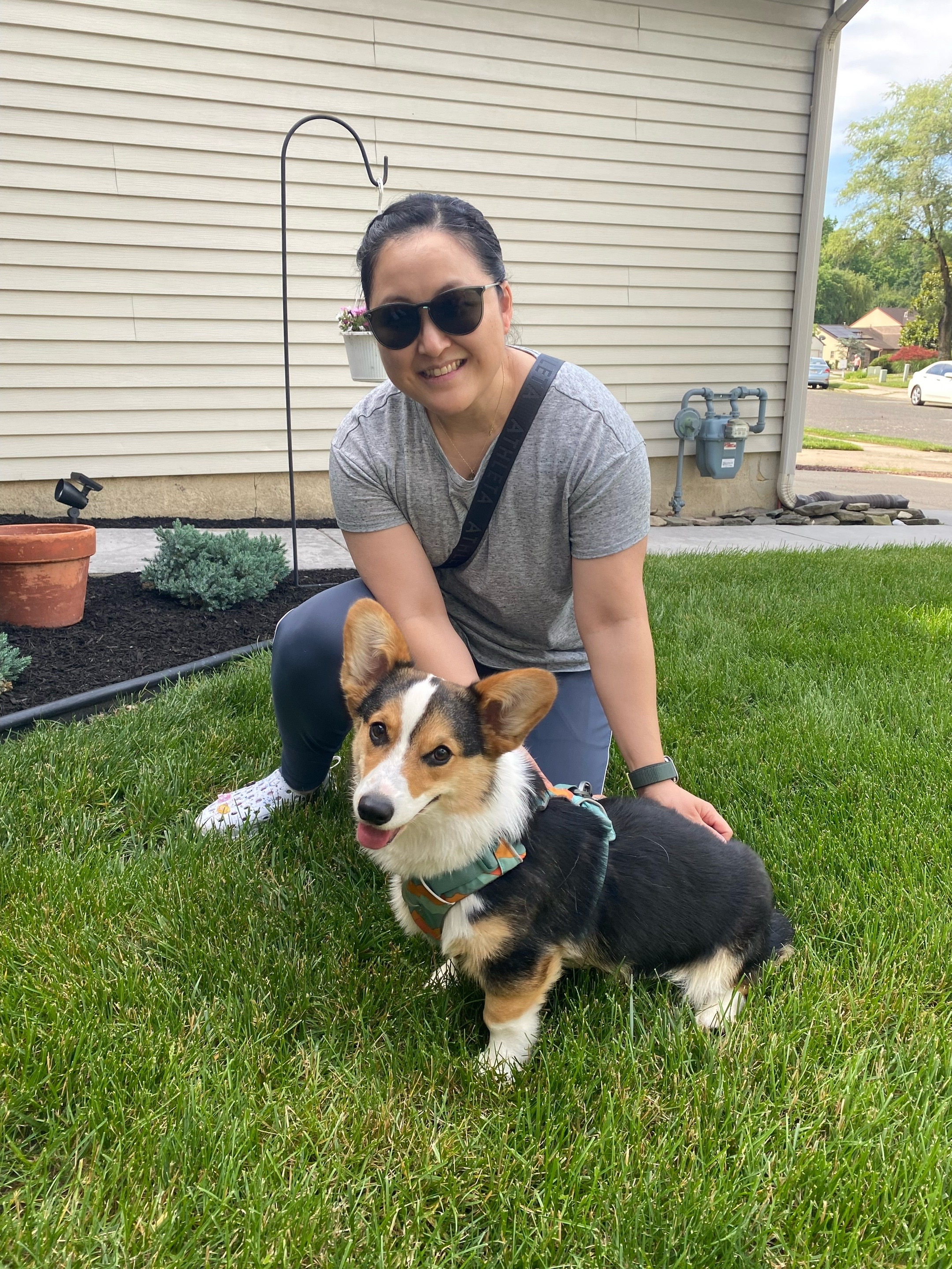@South Jersey Corgi Rescue