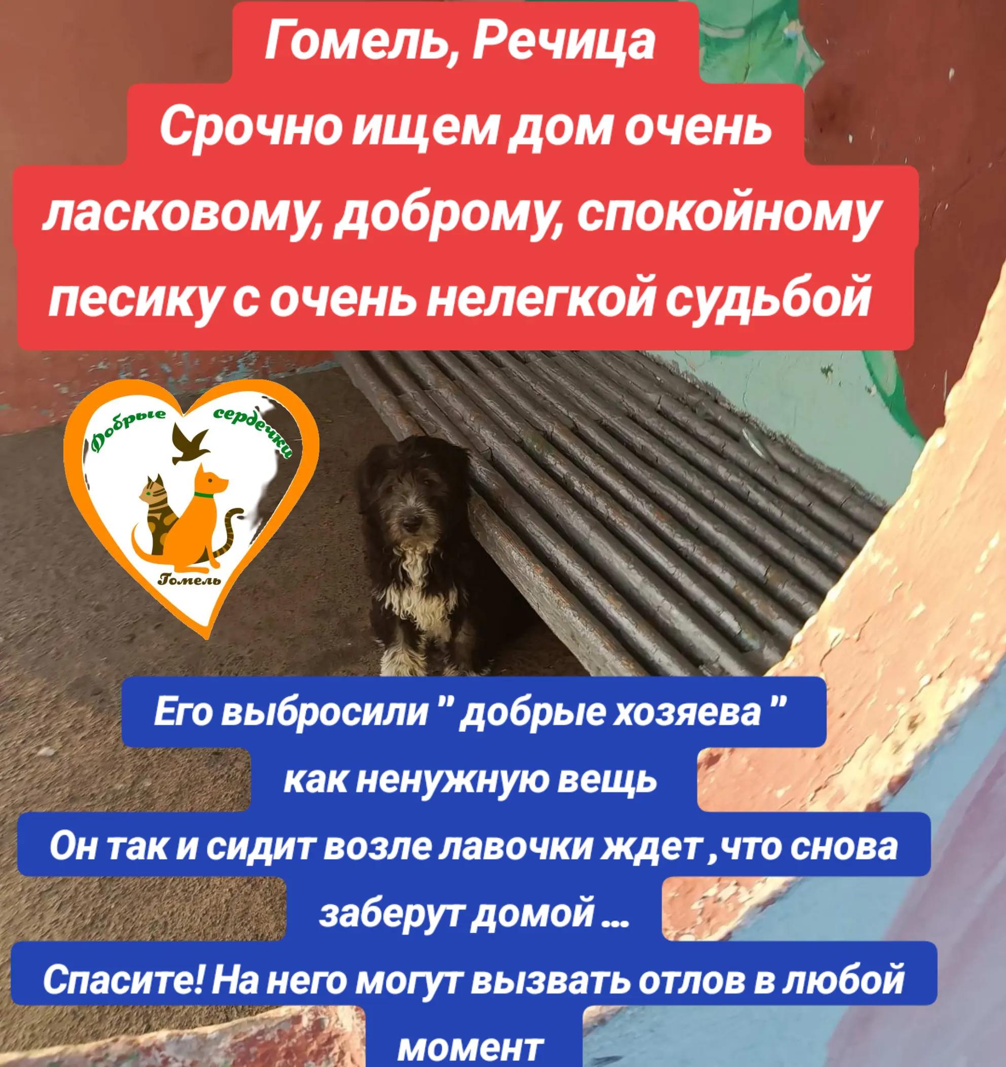 @Марина