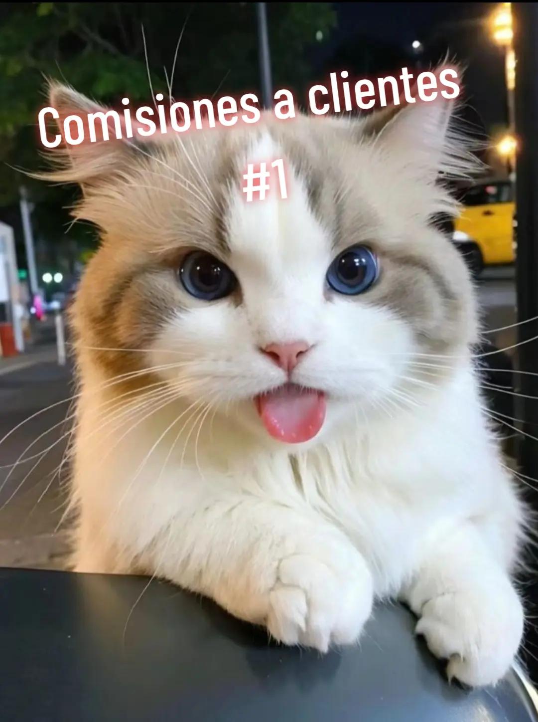 @Rubhub