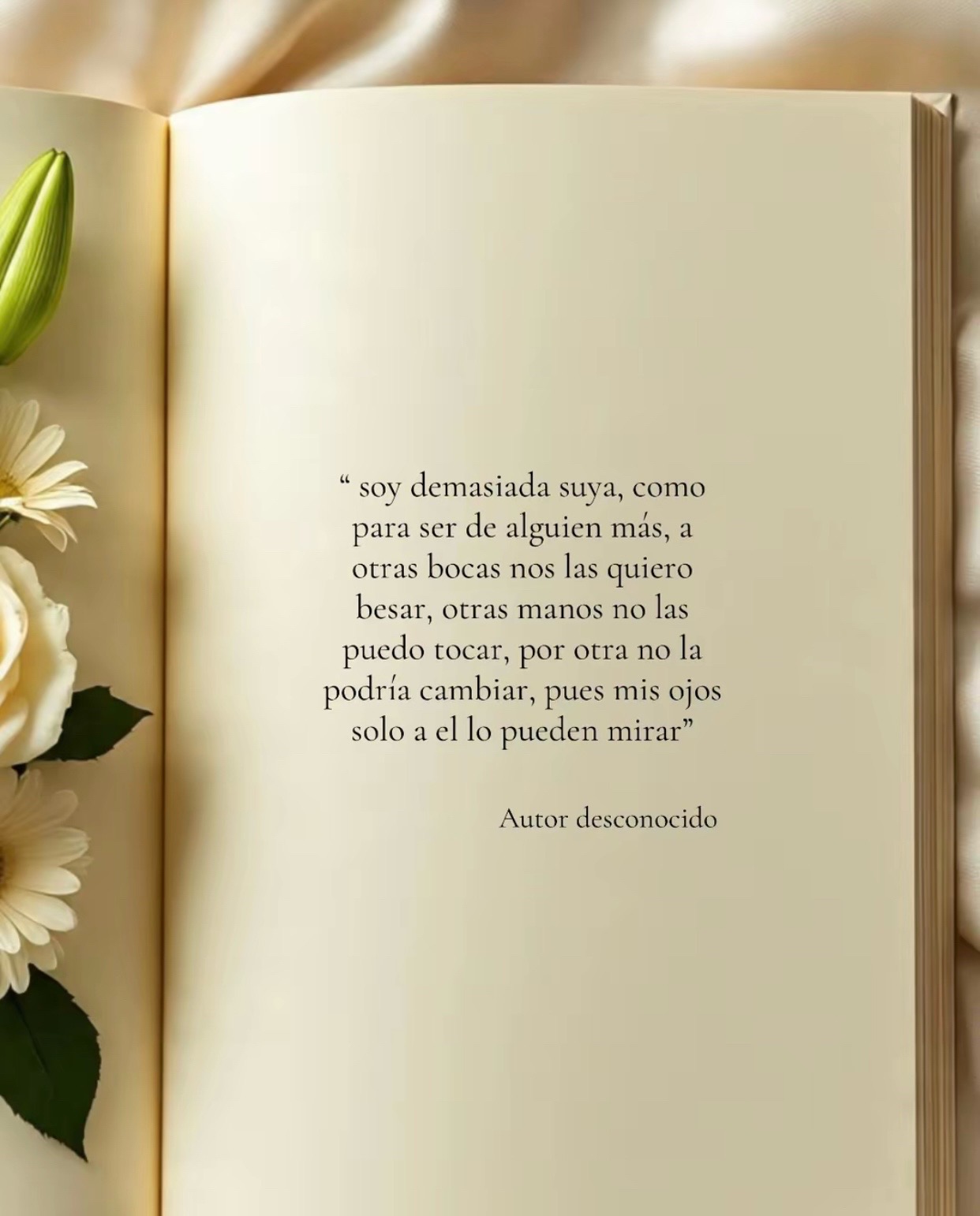 @Cinthia Haro Sotelo💙🦋