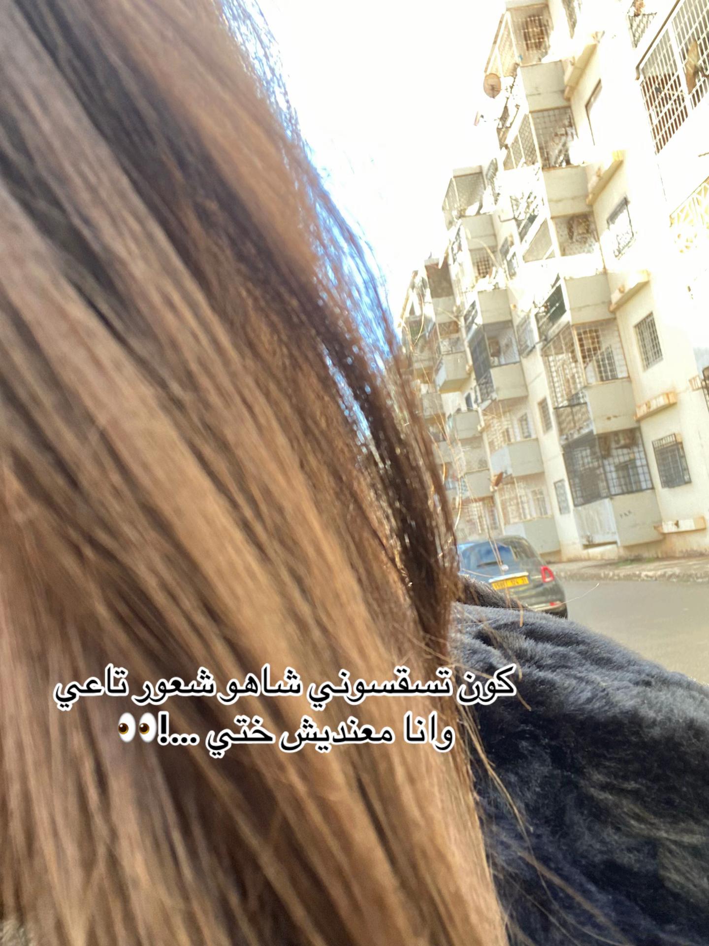 @assilbnd17