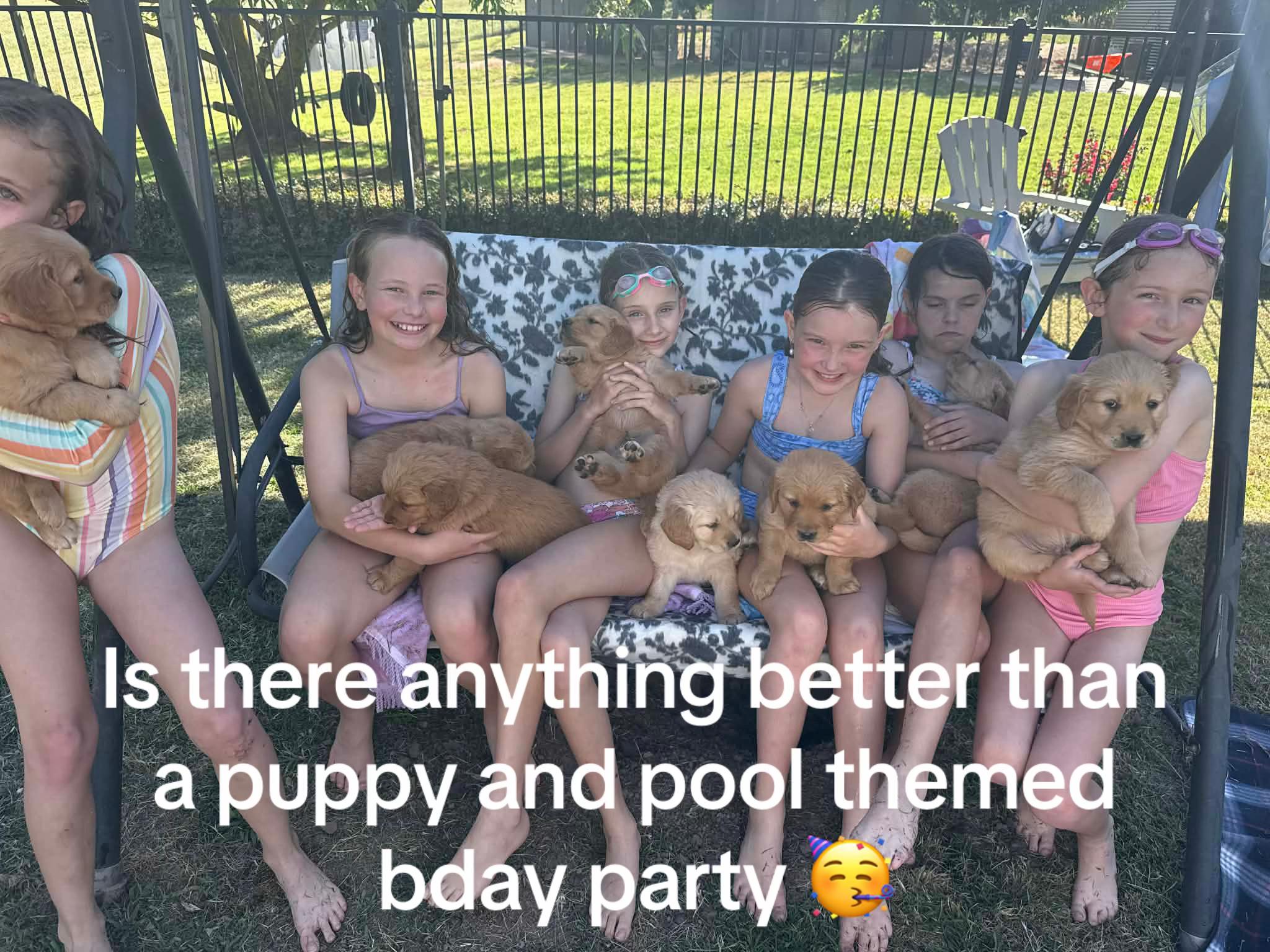 @HighCountryRetrievers
