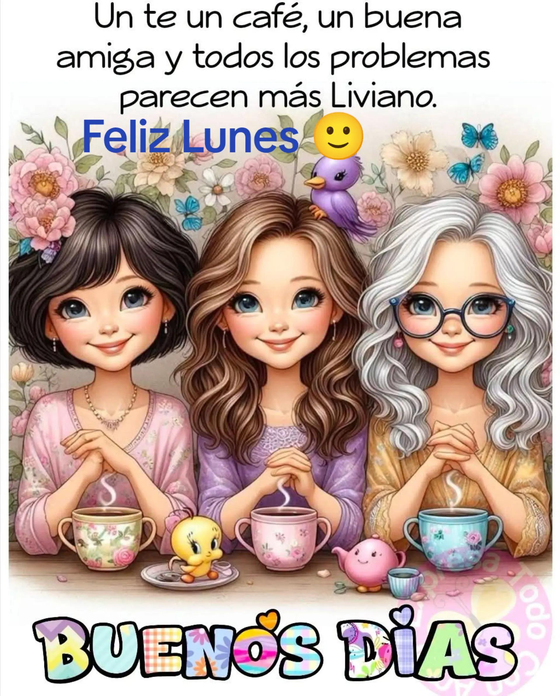 @fely fely farcas