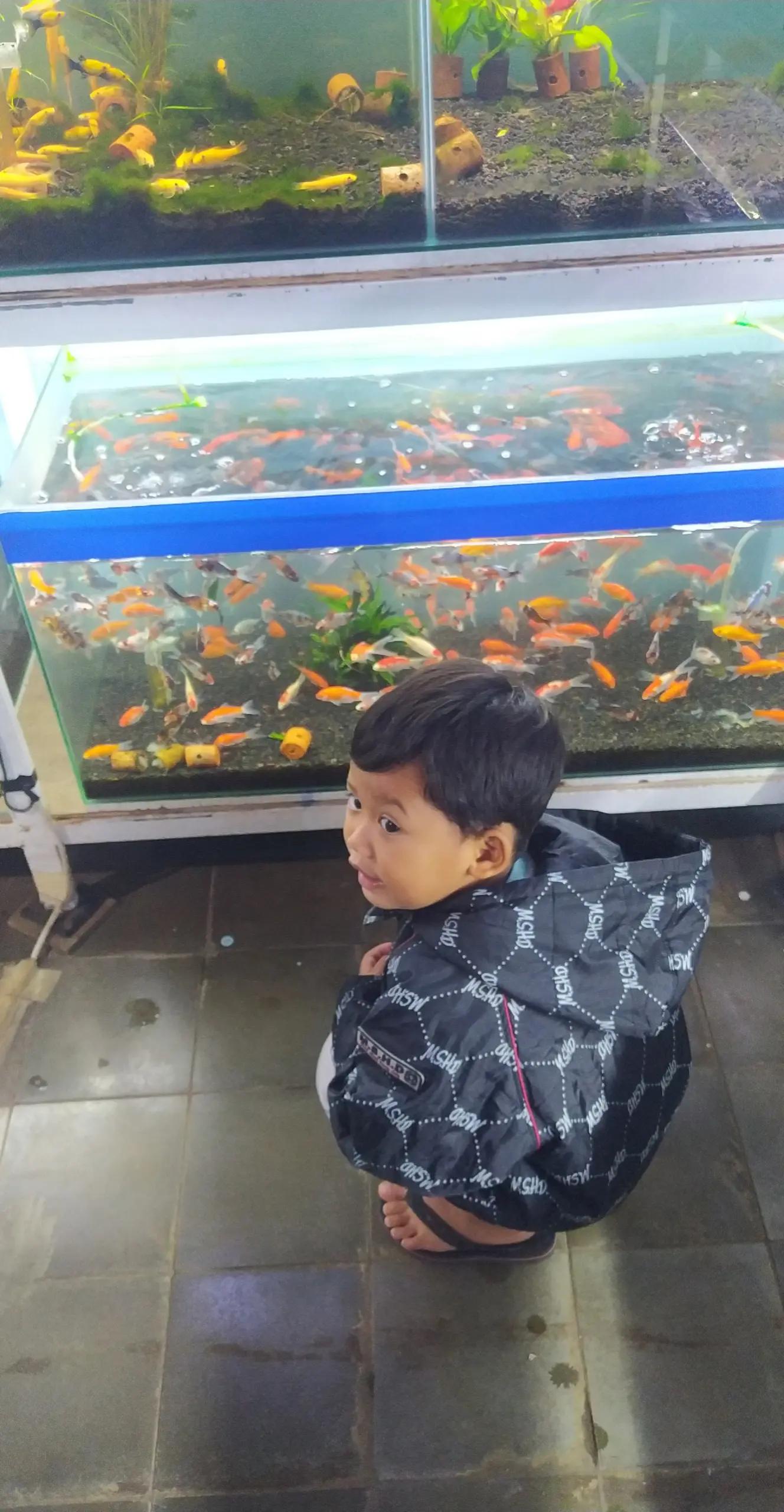 @Blessing_fish
