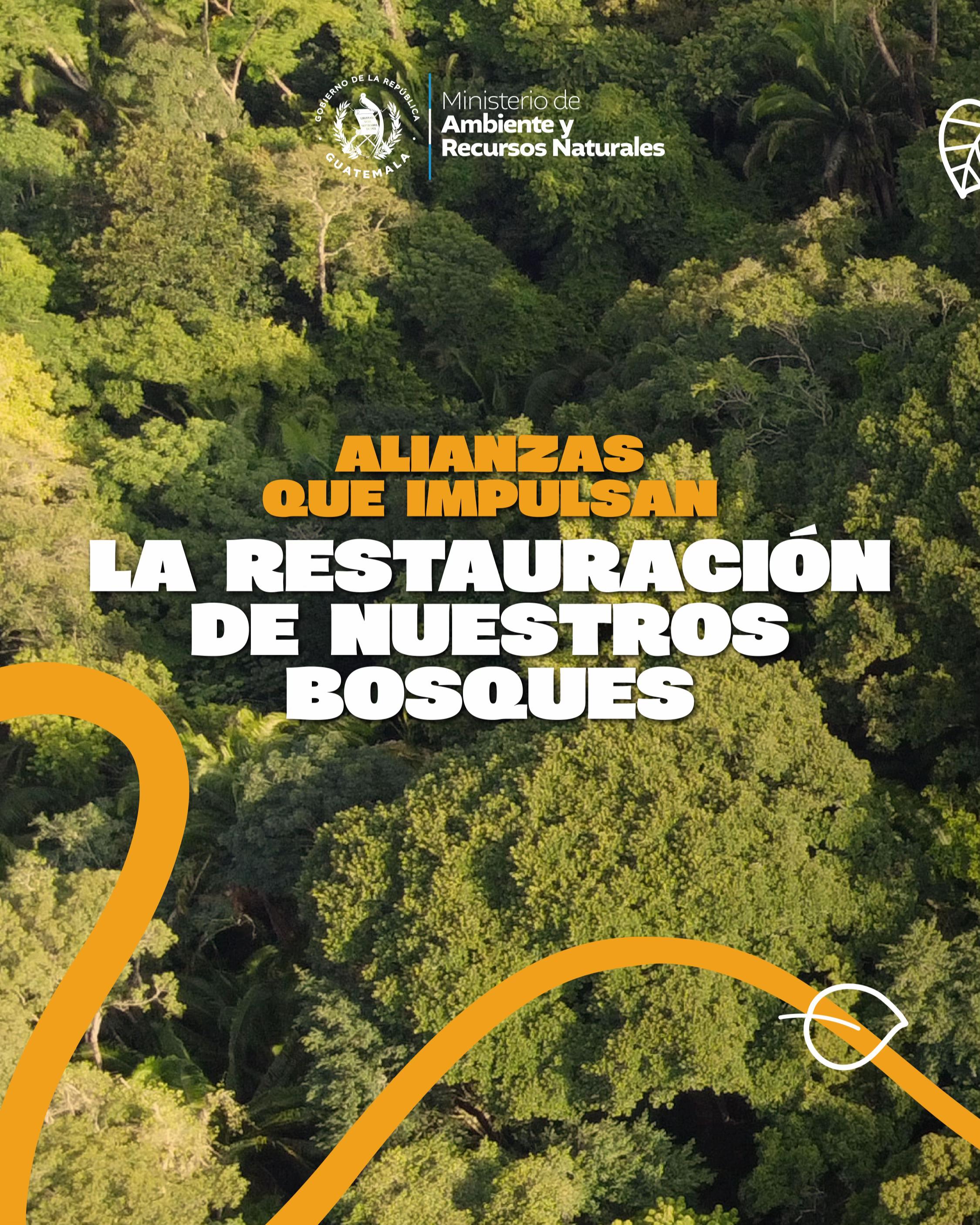 @Ministerio de Ambiente GT
