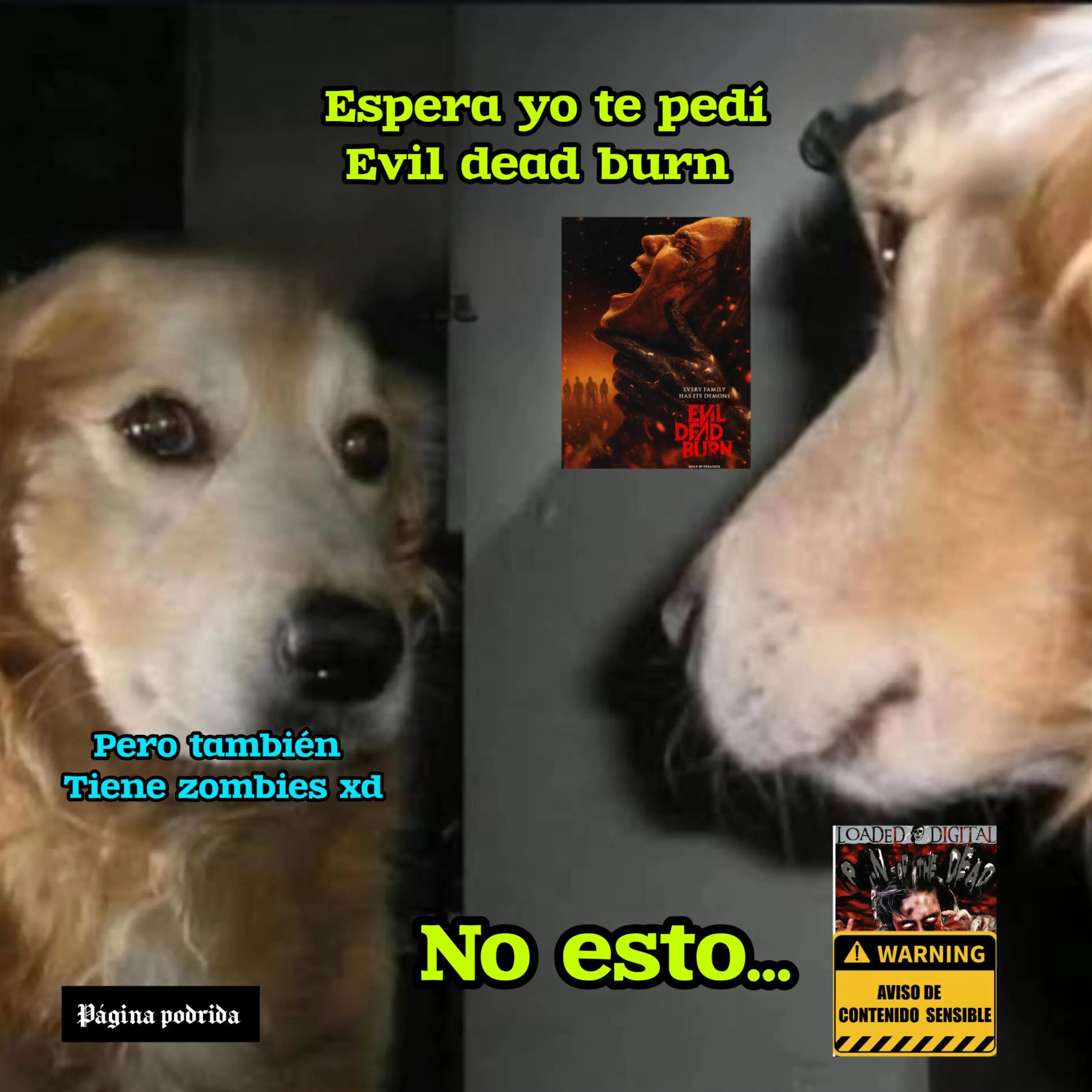 @p&aacute;gina podrida