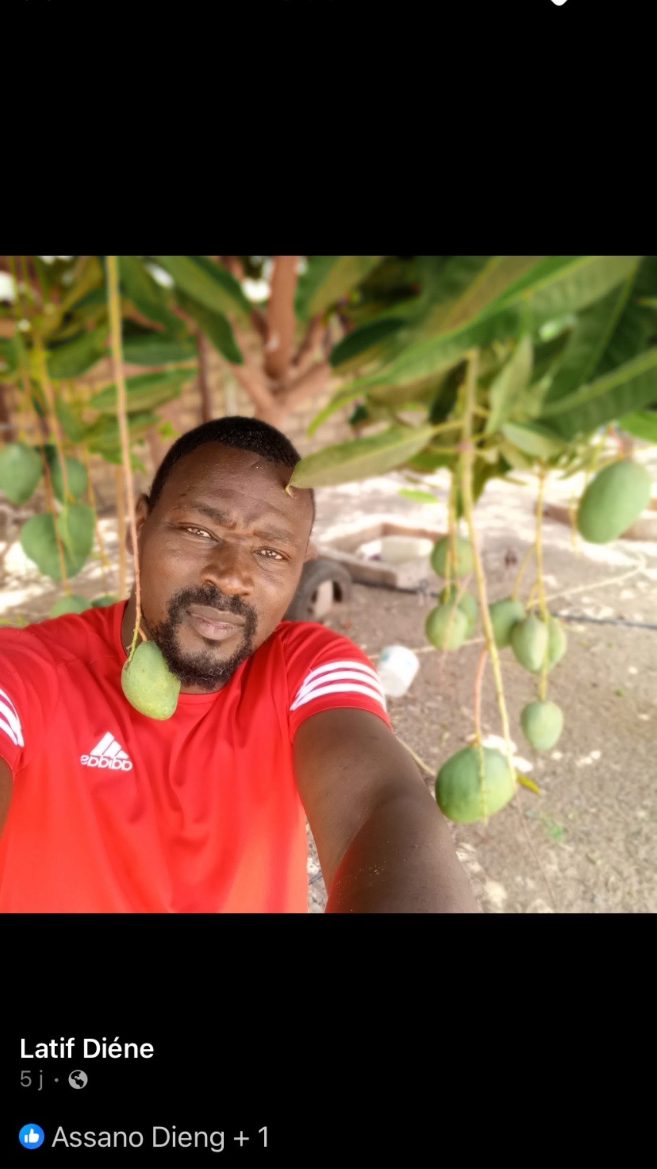 @modou fall