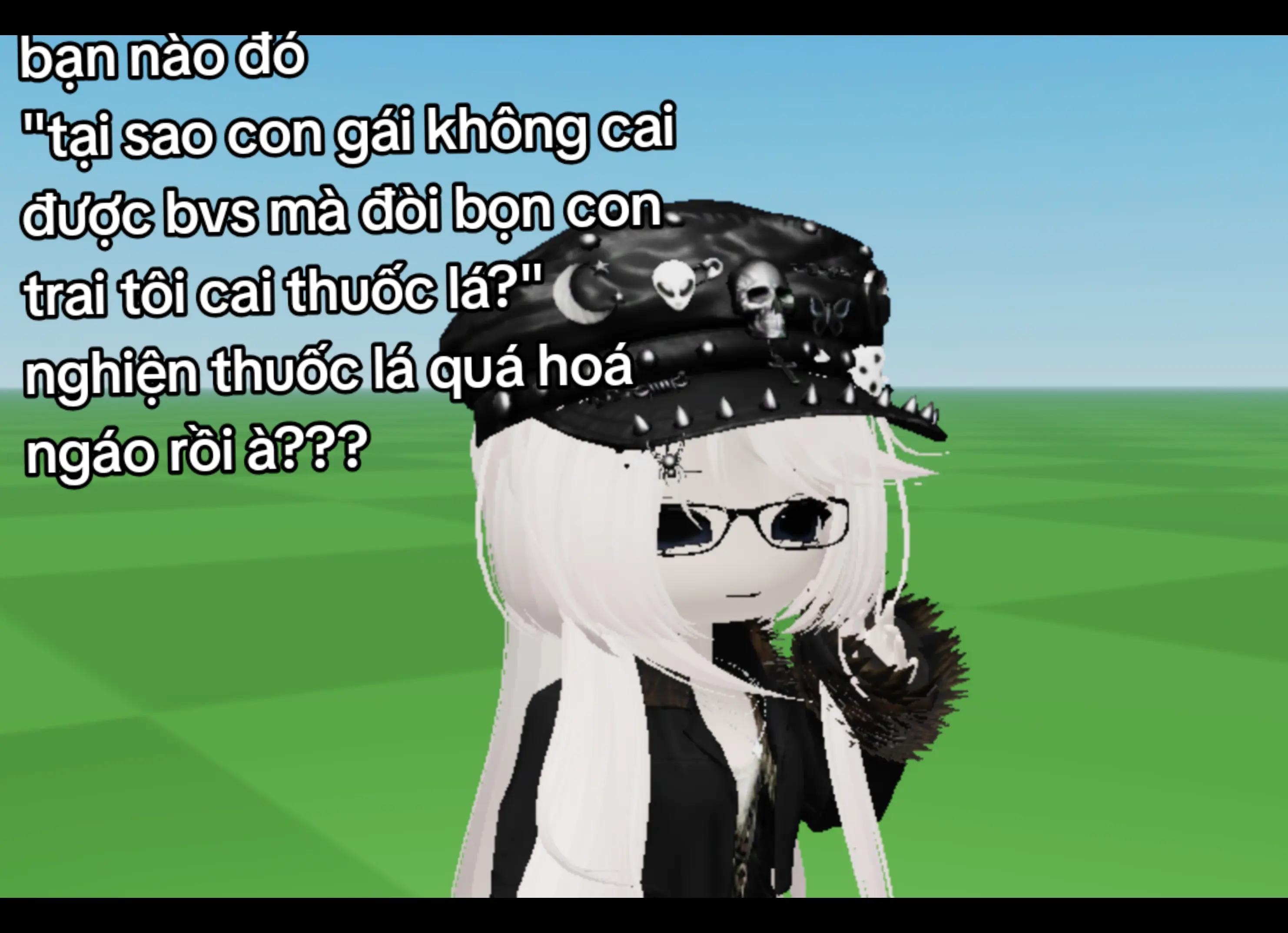 @« ✦ 𝒜𝓋𝒶 ✦ »