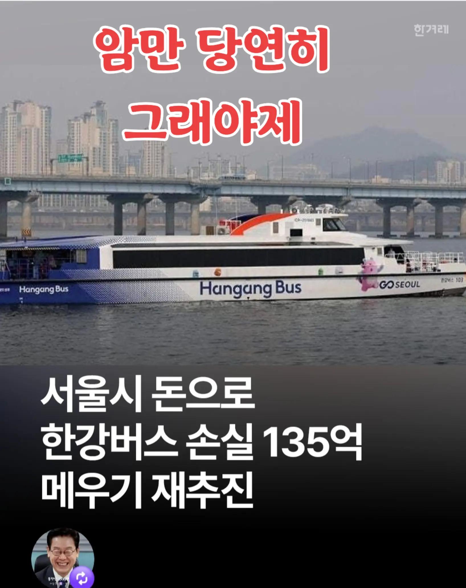 @🌺시라소니[본]🌺