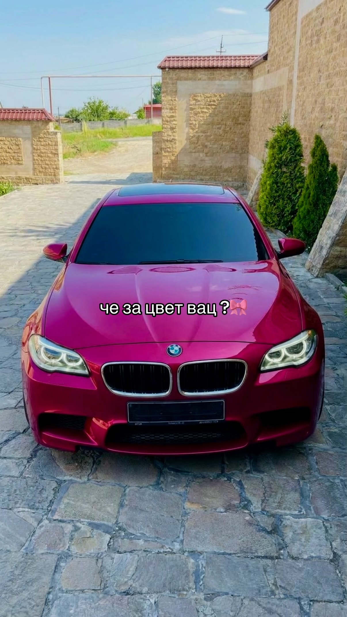 @neiro_kubik